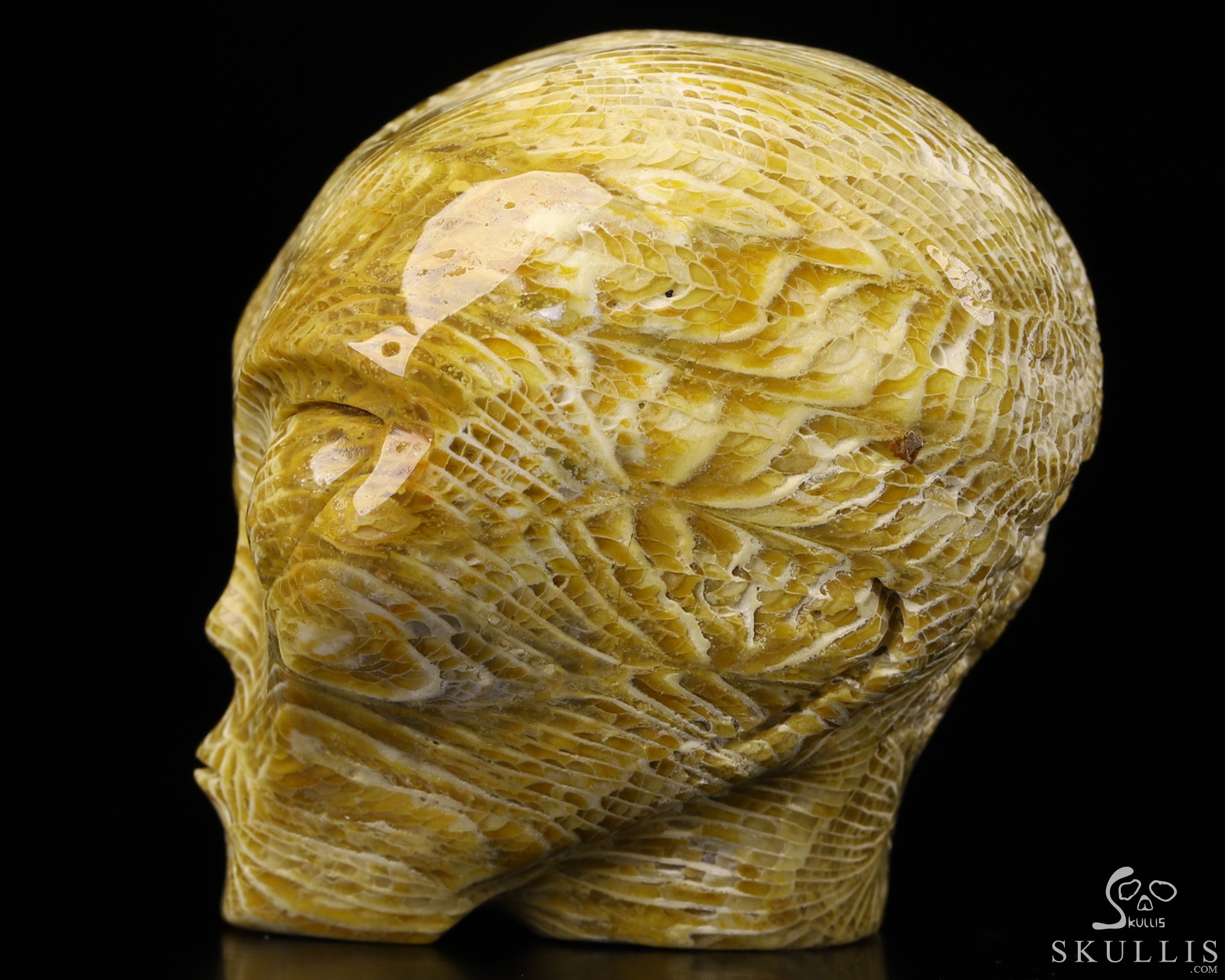 2.0" Coral Fossil Star Being Female Alien Crystal Skull Companion With Eyes, Hand Carved Gemstone Fine Art Sculpture, Reiki Healing Stone Statue 2.0" Coral Fossil Star Being Female Alien Crystal Skull Companion With Eyes, Hand Carved Gemstone Fine Art Sculpture, Reiki Healing Stone Statue