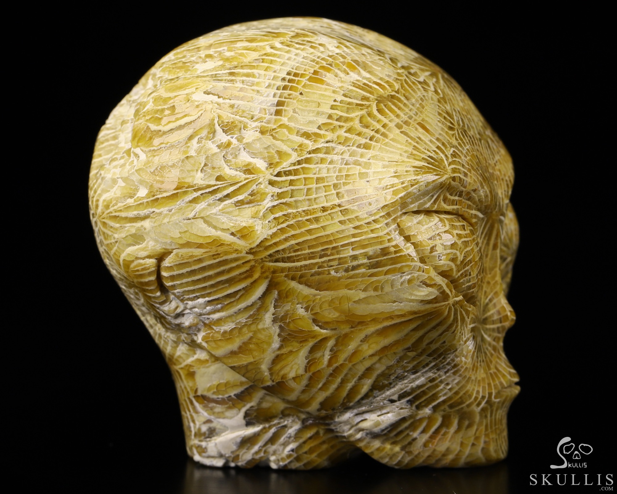 2.0" Coral Fossil Star Being Female Alien Crystal Skull Companion With Eyes, Hand Carved Gemstone Fine Art Sculpture, Reiki Healing Stone Statue 2.0" Coral Fossil Star Being Female Alien Crystal Skull Companion With Eyes, Hand Carved Gemstone Fine Art Sculpture, Reiki Healing Stone Statue