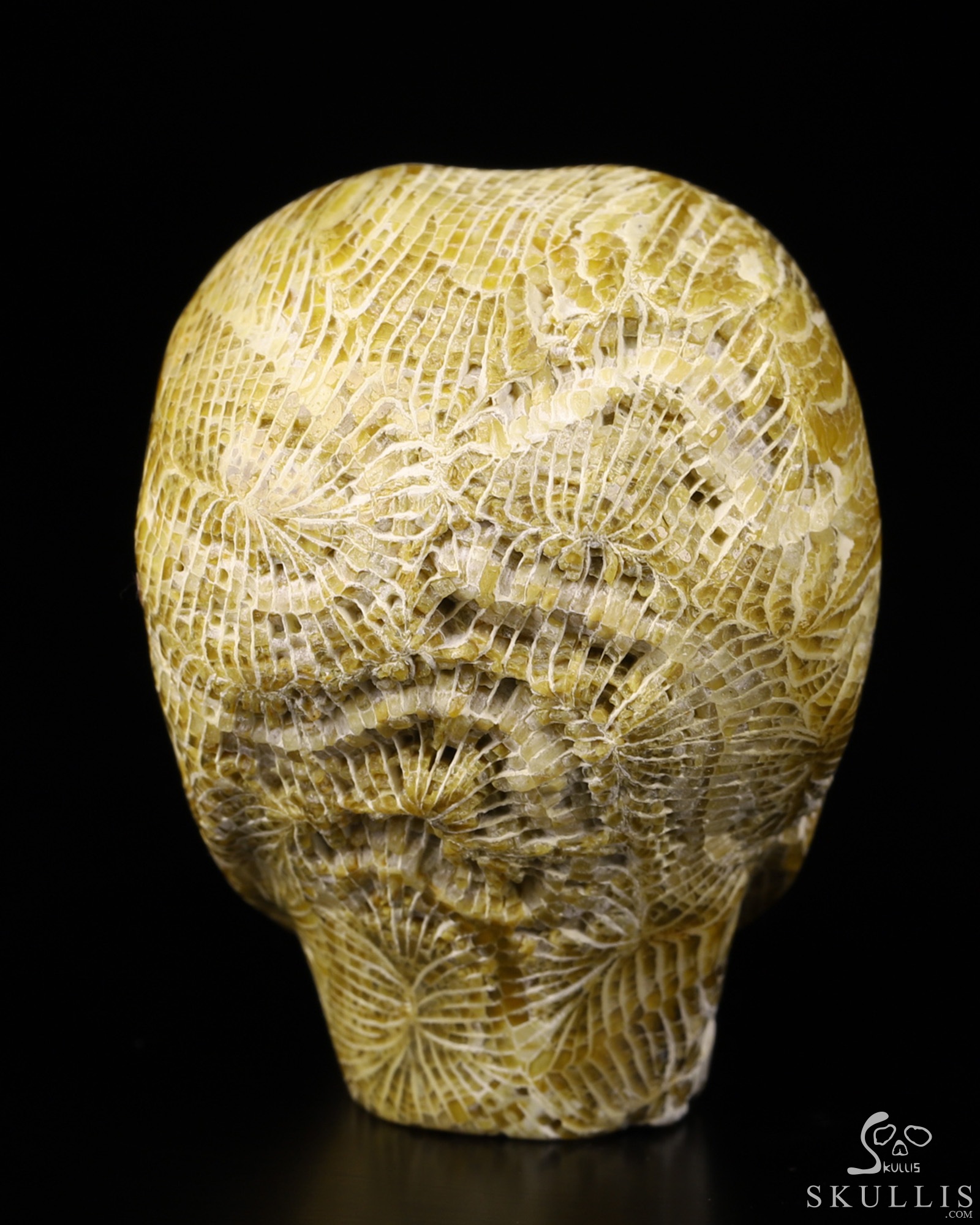 2.0" Coral Fossil Star Being Female Alien Crystal Skull Companion With Eyes, Hand Carved Gemstone Fine Art Sculpture, Reiki Healing Stone Statue 2.0" Coral Fossil Star Being Female Alien Crystal Skull Companion With Eyes, Hand Carved Gemstone Fine Art Sculpture, Reiki Healing Stone Statue