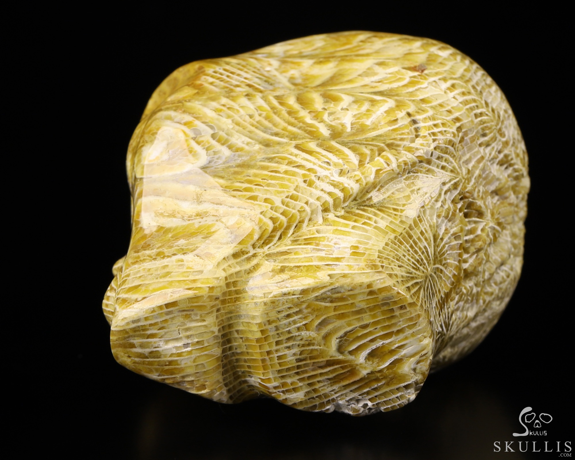 2.0" Coral Fossil Star Being Female Alien Crystal Skull Companion With Eyes, Hand Carved Gemstone Fine Art Sculpture, Reiki Healing Stone Statue 2.0" Coral Fossil Star Being Female Alien Crystal Skull Companion With Eyes, Hand Carved Gemstone Fine Art Sculpture, Reiki Healing Stone Statue
