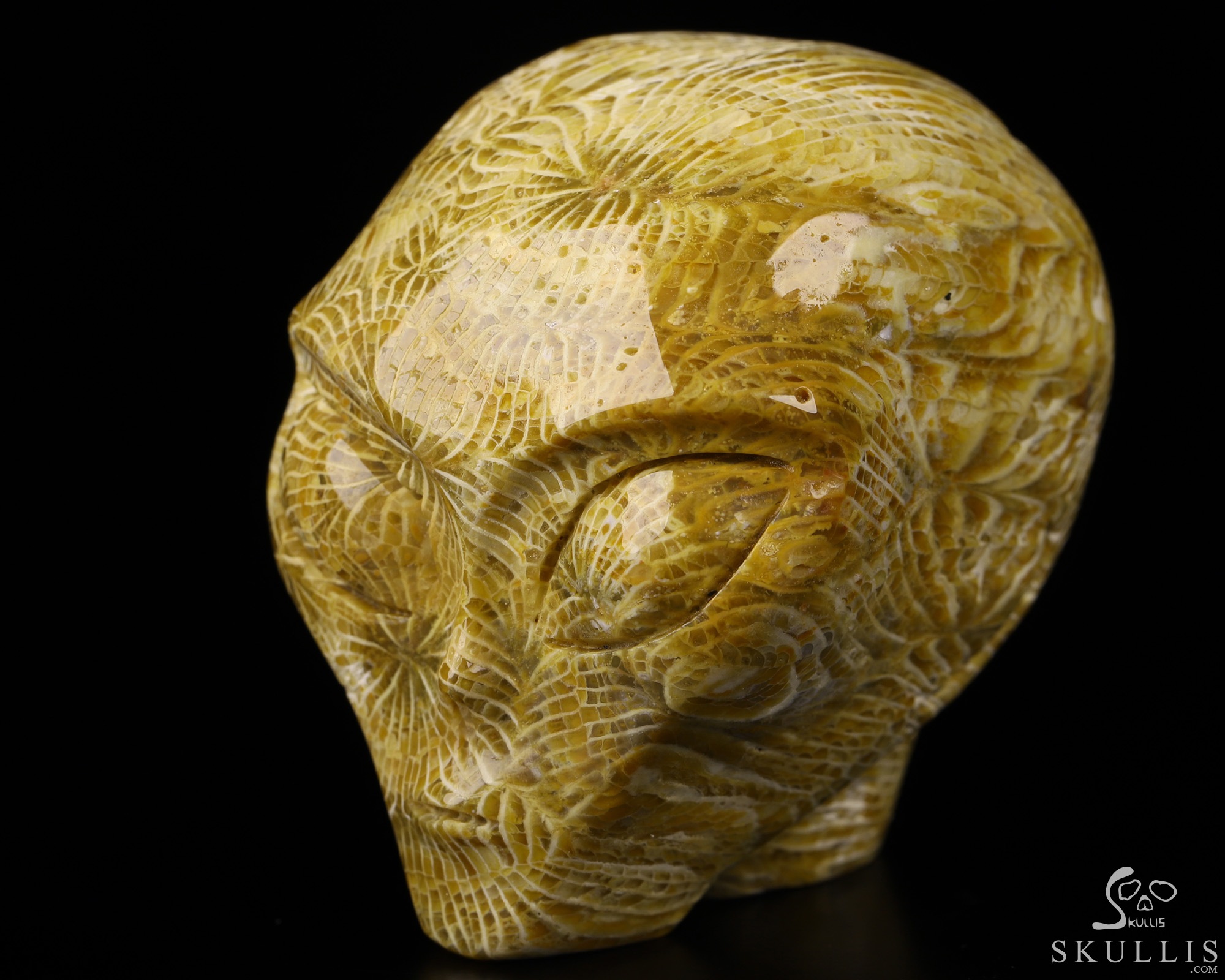 2.0" Coral Fossil Star Being Female Alien Crystal Skull Companion With Eyes, Hand Carved Gemstone Fine Art Sculpture, Reiki Healing Stone Statue 2.0" Coral Fossil Star Being Female Alien Crystal Skull Companion With Eyes, Hand Carved Gemstone Fine Art Sculpture, Reiki Healing Stone Statue