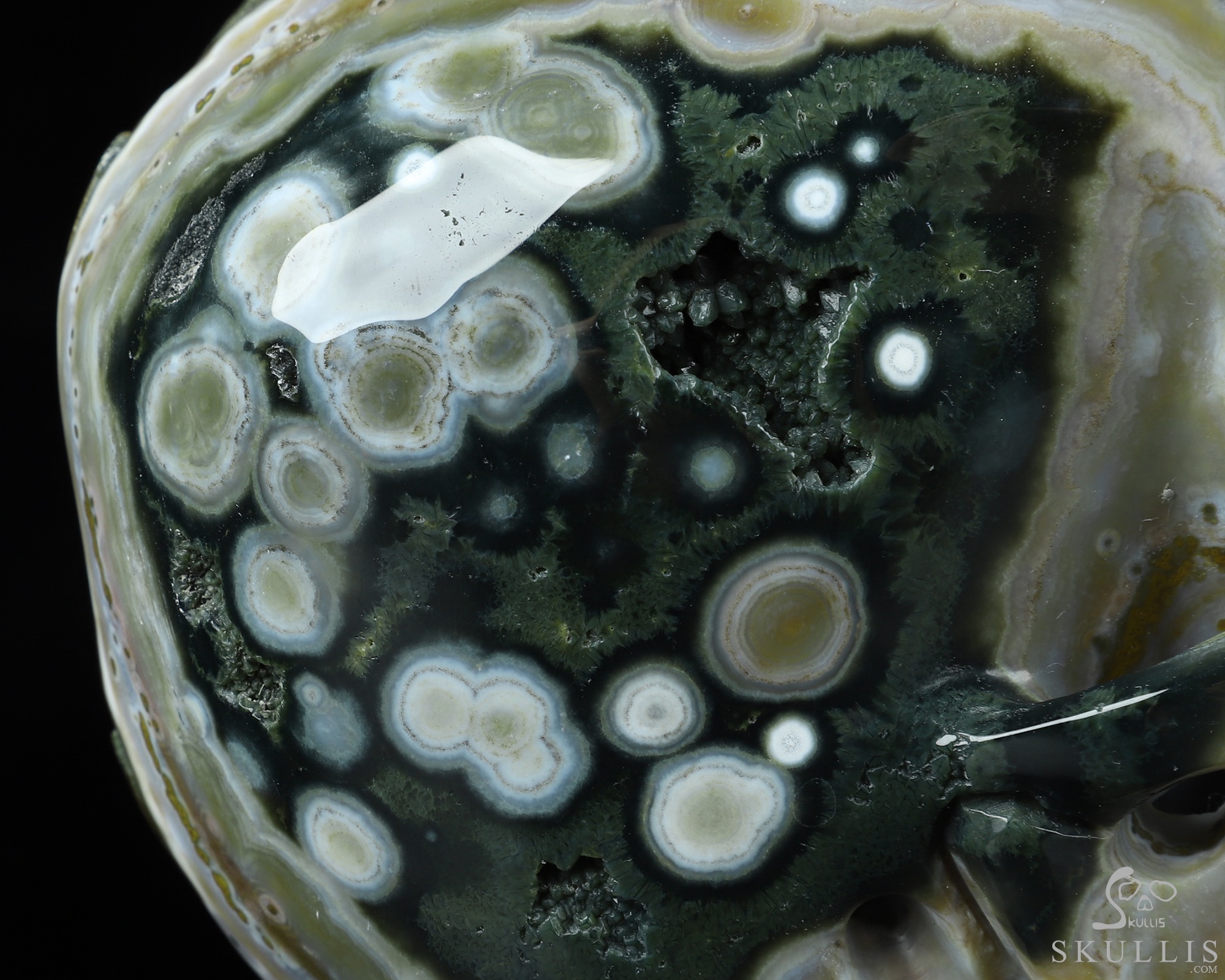 5.1" Ocean Jasper Geode Hand Carved Crystal Skull, Super Realistic, Crystal Healing 5.1" Ocean Jasper Geode Hand Carved Crystal Skull, Super Realistic, Crystal Healing