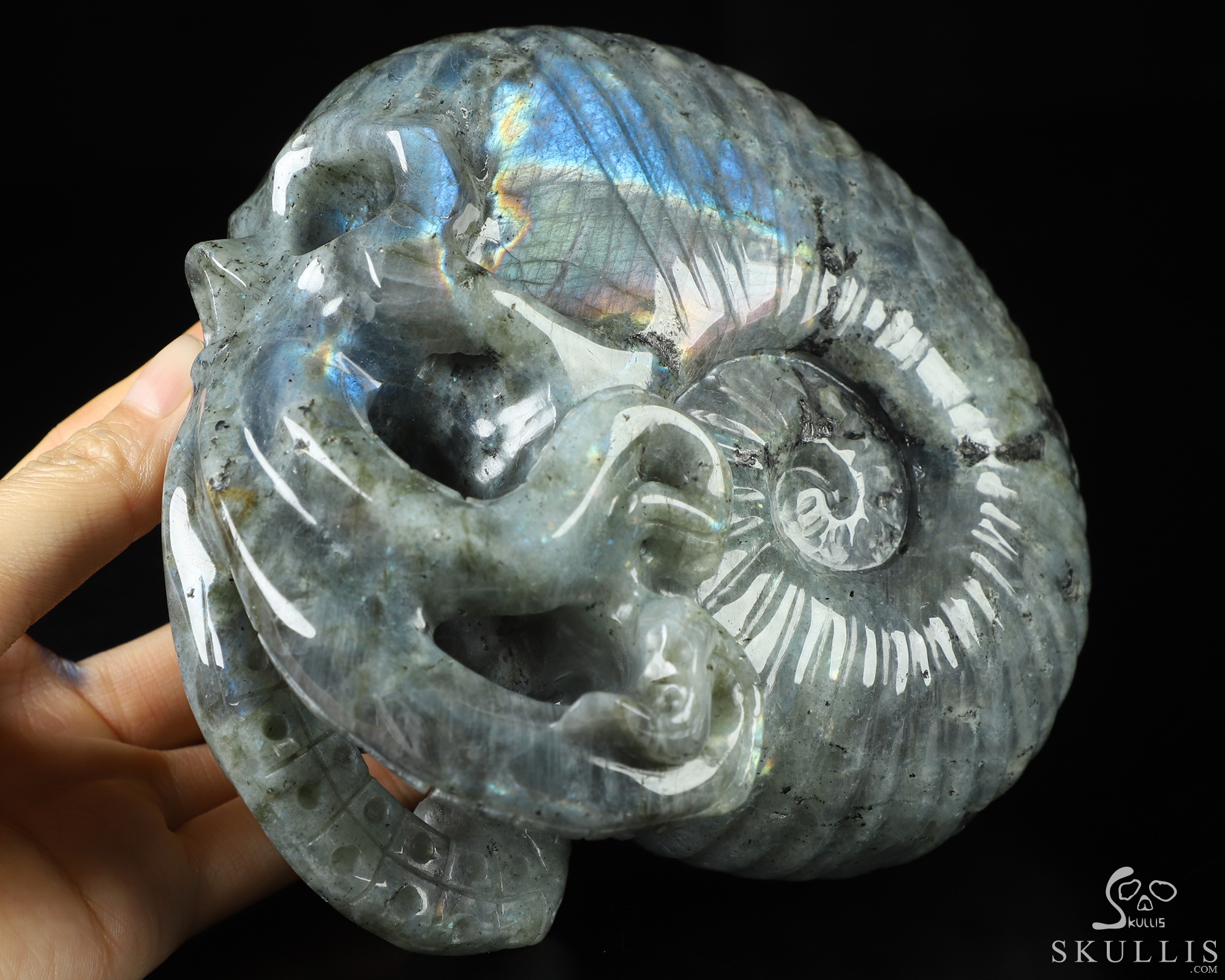 5.7" Labradorite Hand Carved Nautiloid Cthulhu Crystal Skull Sculpture, Crystal Healing 5.7" Labradorite Hand Carved Nautiloid Cthulhu Crystal Skull Sculpture, Crystal Healing