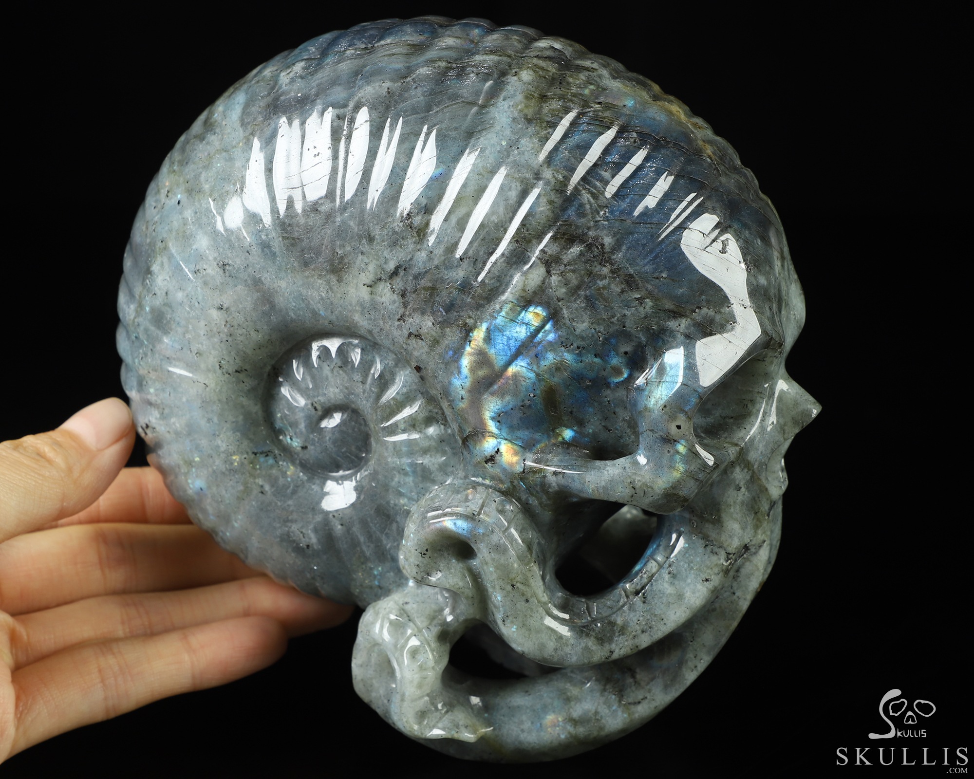 5.7" Labradorite Hand Carved Nautiloid Cthulhu Crystal Skull Sculpture, Crystal Healing 5.7" Labradorite Hand Carved Nautiloid Cthulhu Crystal Skull Sculpture, Crystal Healing