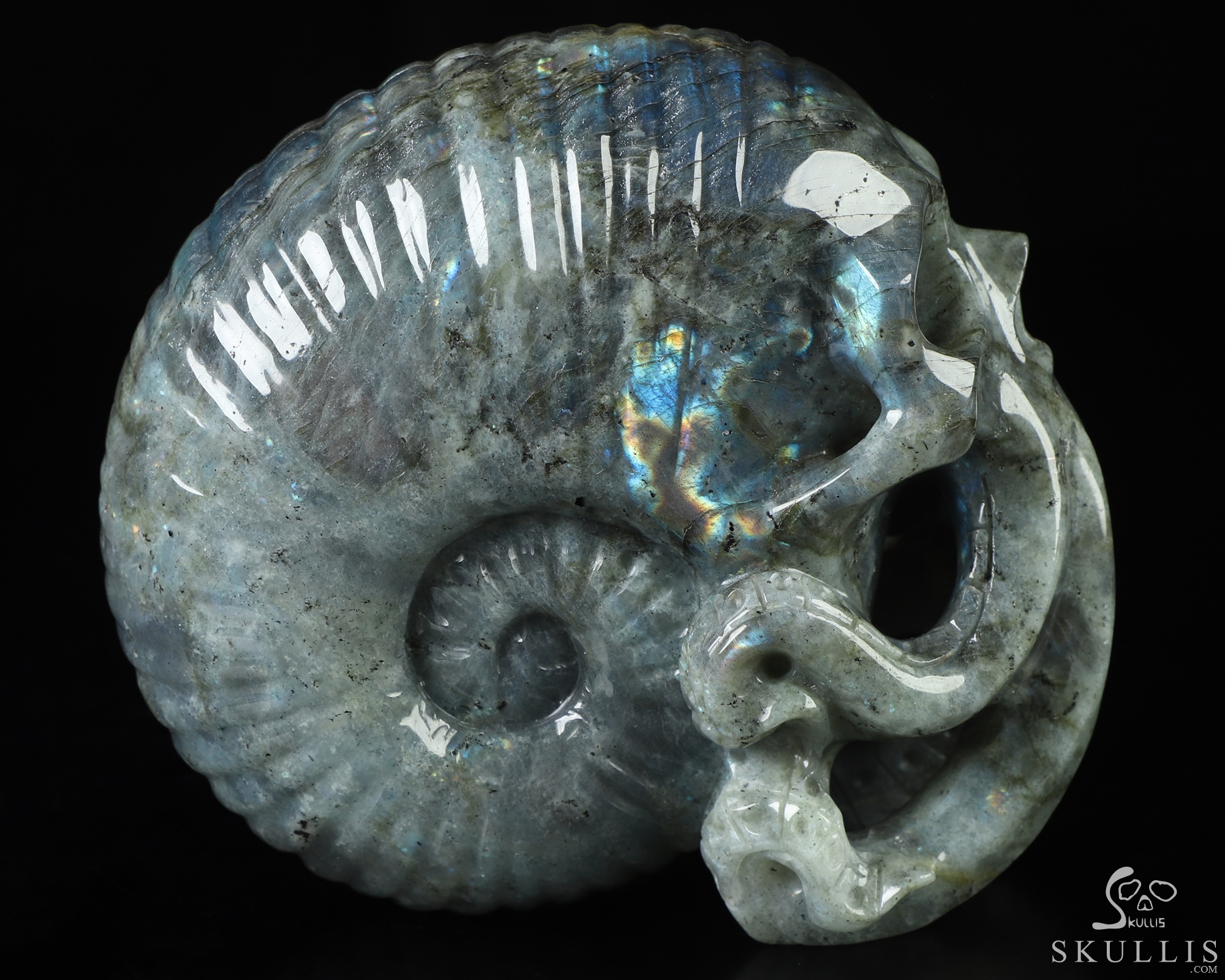 5.7" Labradorite Hand Carved Nautiloid Cthulhu Crystal Skull Sculpture, Crystal Healing 5.7" Labradorite Hand Carved Nautiloid Cthulhu Crystal Skull Sculpture, Crystal Healing