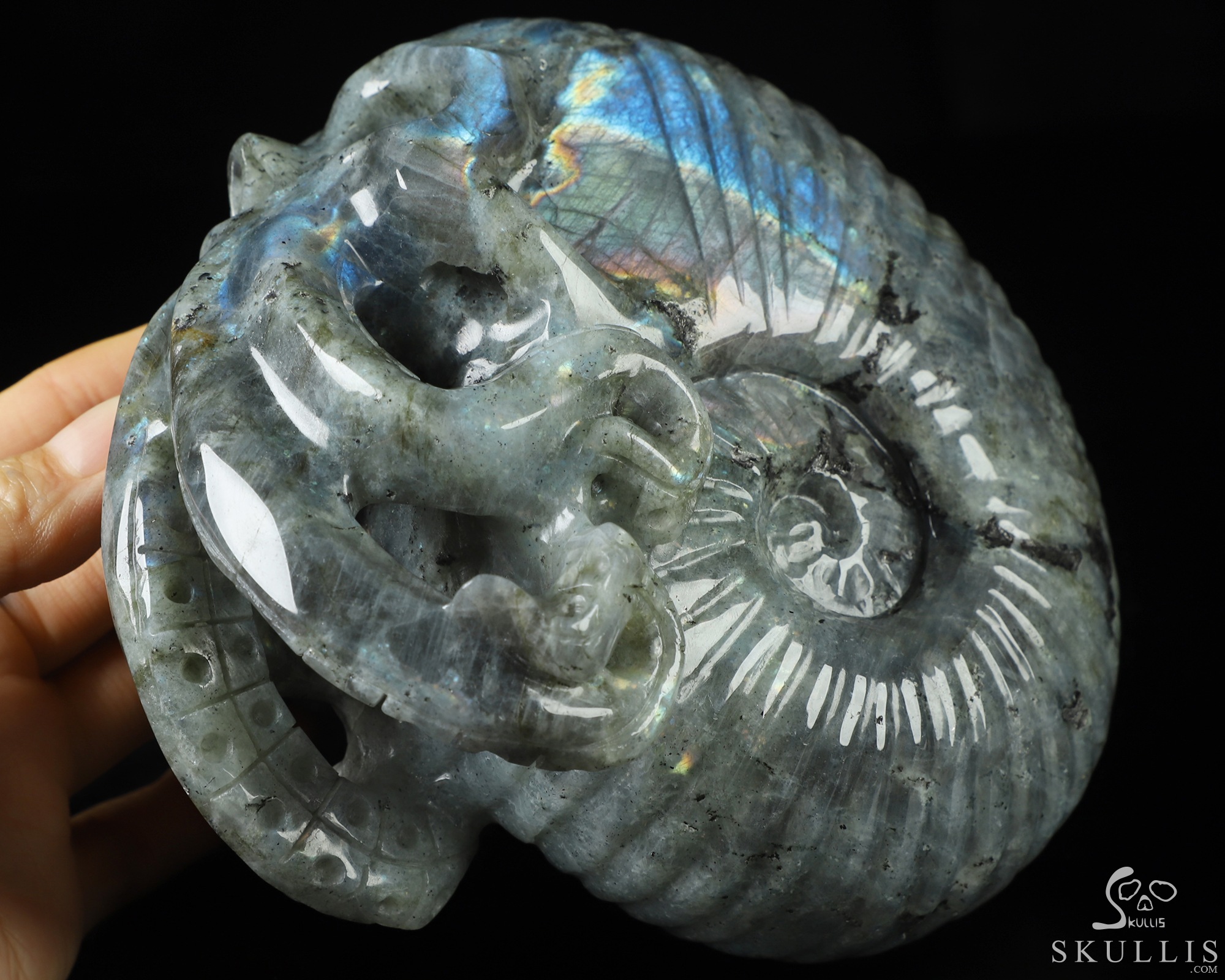 5.7" Labradorite Hand Carved Nautiloid Cthulhu Crystal Skull Sculpture, Crystal Healing 5.7" Labradorite Hand Carved Nautiloid Cthulhu Crystal Skull Sculpture, Crystal Healing