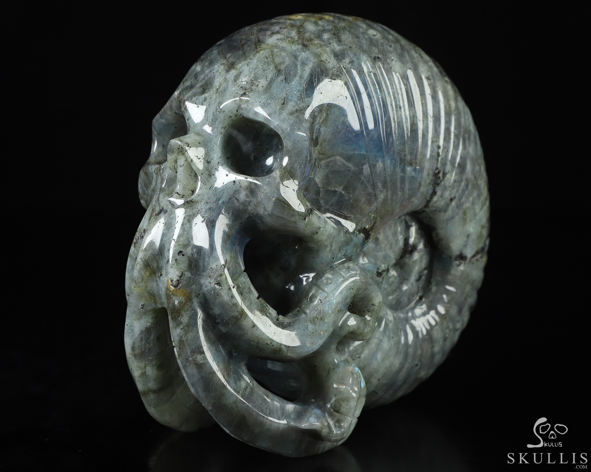 5.7" Labradorite Hand Carved Nautiloid Cthulhu Crystal Skull Sculpture, Crystal Healing 5.7" Labradorite Hand Carved Nautiloid Cthulhu Crystal Skull Sculpture, Crystal Healing