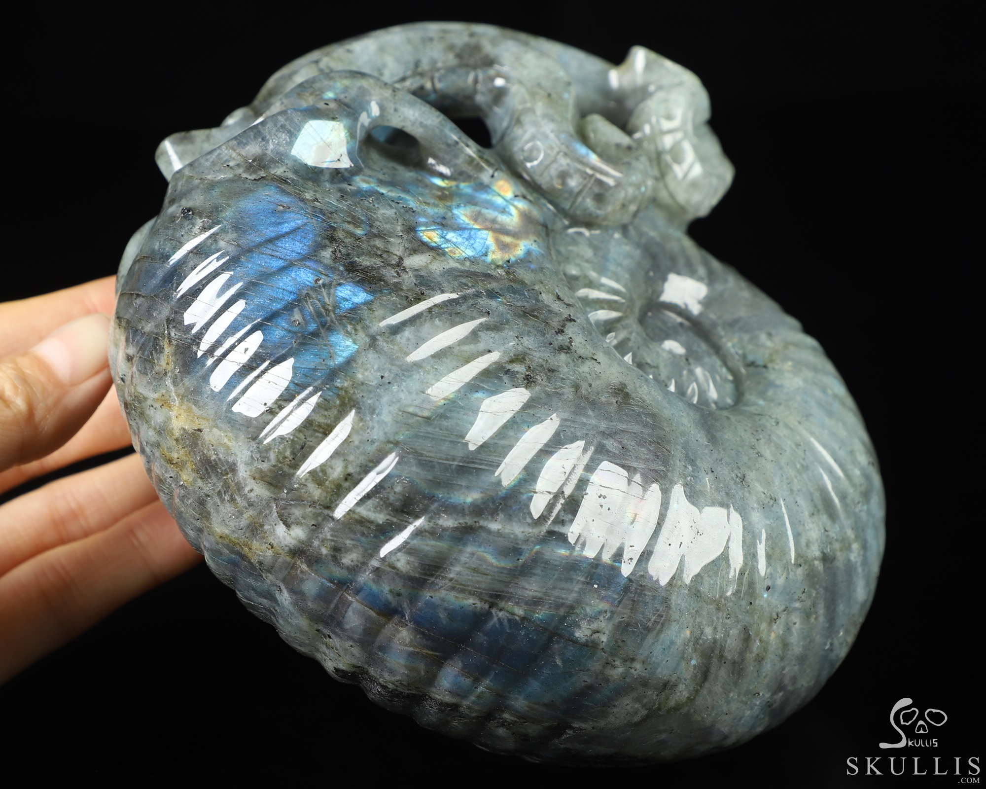 5.7" Labradorite Hand Carved Nautiloid Cthulhu Crystal Skull Sculpture, Crystal Healing 5.7" Labradorite Hand Carved Nautiloid Cthulhu Crystal Skull Sculpture, Crystal Healing