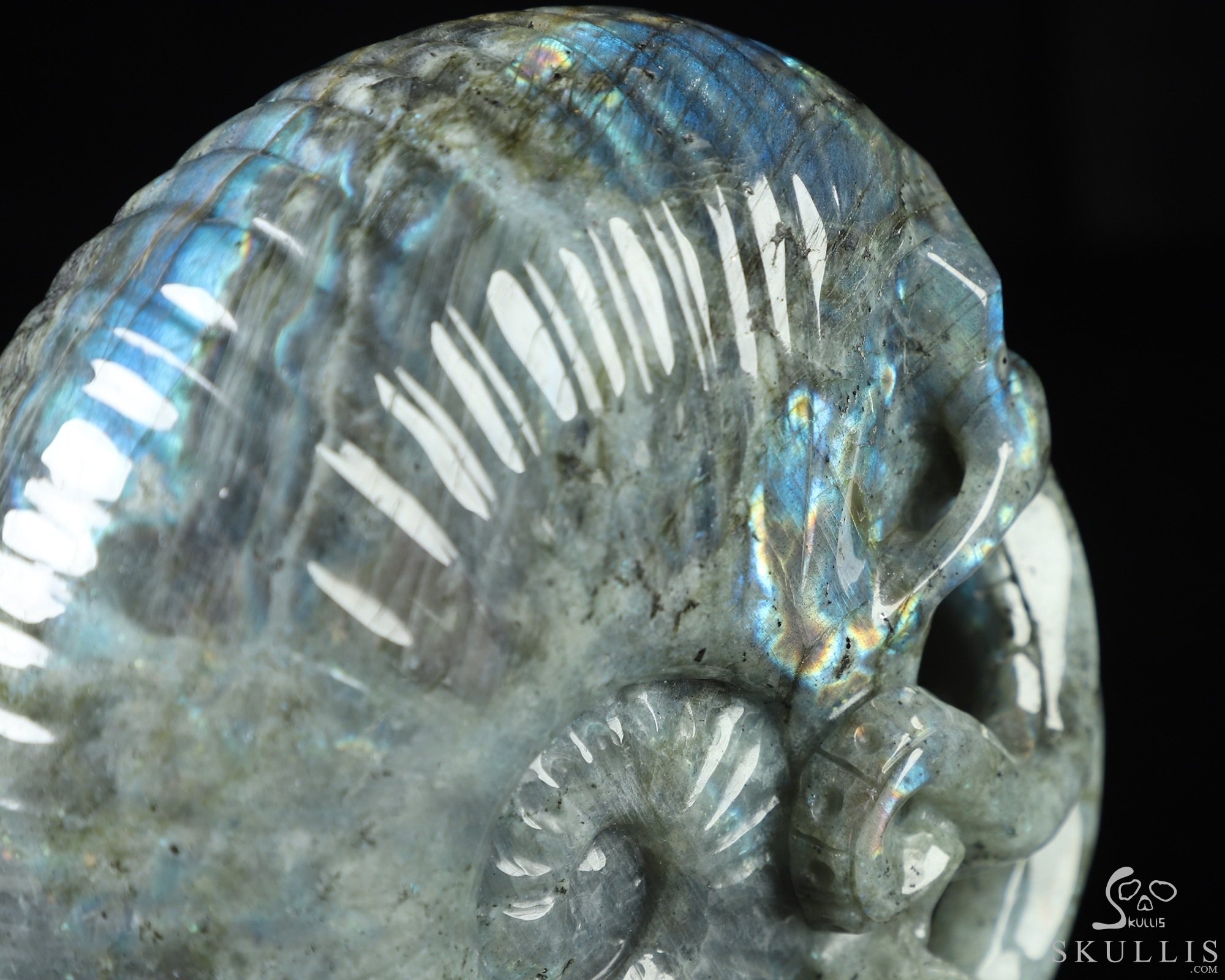 5.7" Labradorite Hand Carved Nautiloid Cthulhu Crystal Skull Sculpture, Crystal Healing 5.7" Labradorite Hand Carved Nautiloid Cthulhu Crystal Skull Sculpture, Crystal Healing