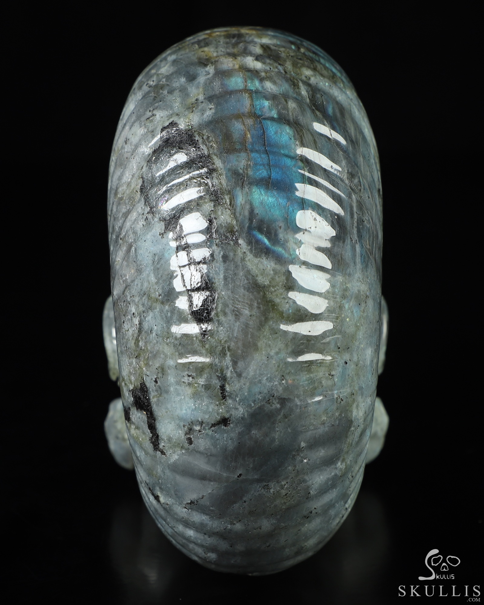 5.7" Labradorite Hand Carved Nautiloid Cthulhu Crystal Skull Sculpture, Crystal Healing 5.7" Labradorite Hand Carved Nautiloid Cthulhu Crystal Skull Sculpture, Crystal Healing