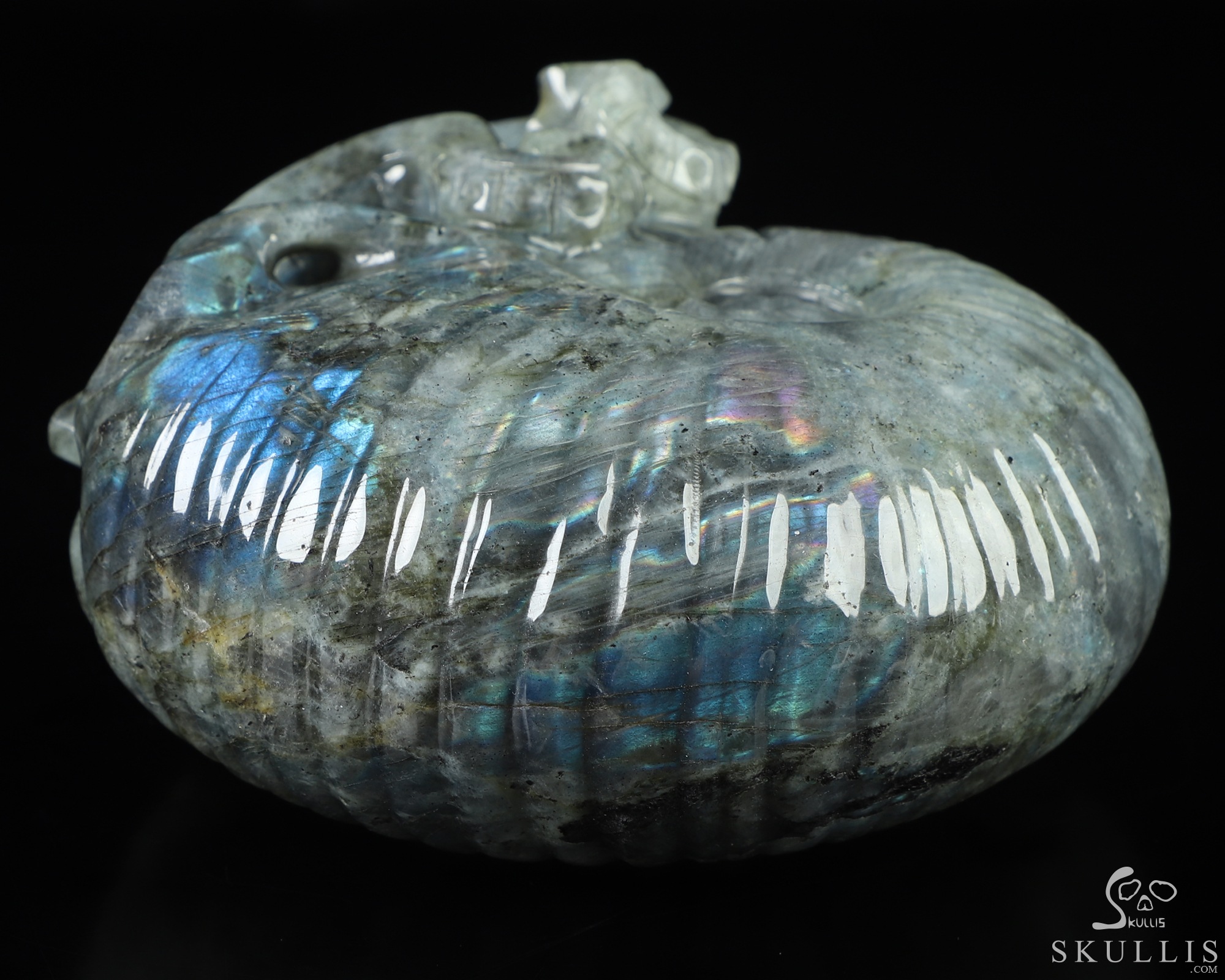 5.7" Labradorite Hand Carved Nautiloid Cthulhu Crystal Skull Sculpture, Crystal Healing 5.7" Labradorite Hand Carved Nautiloid Cthulhu Crystal Skull Sculpture, Crystal Healing