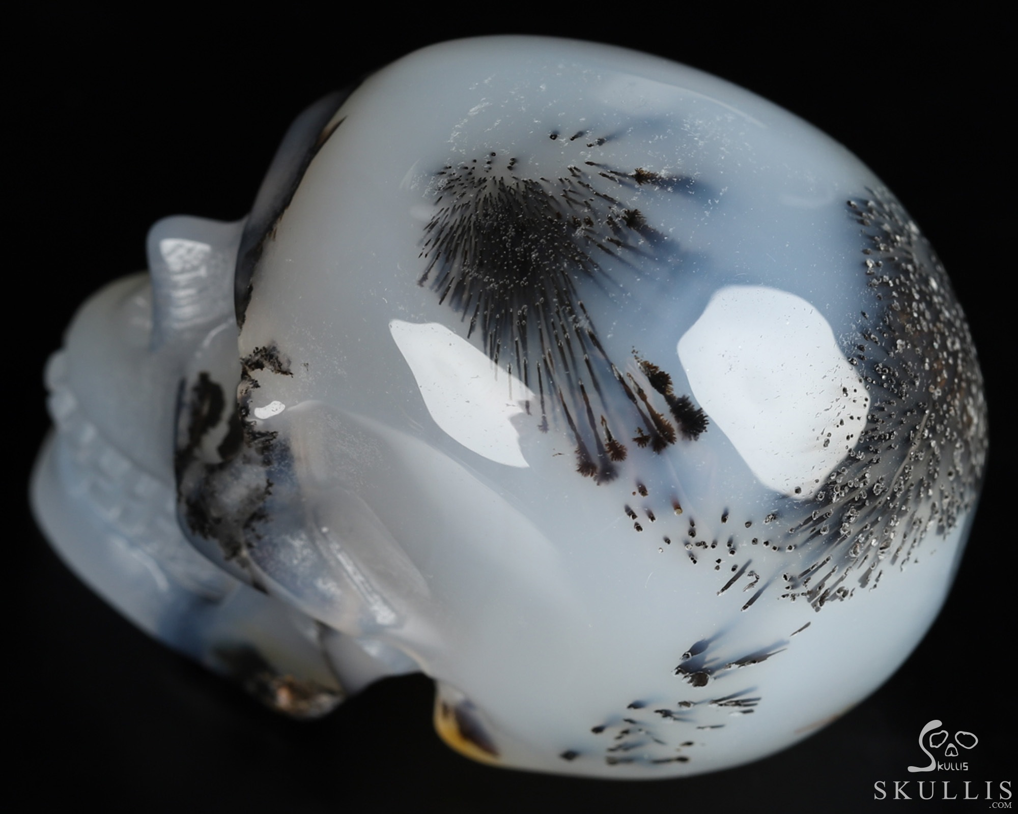 2.0" Sagenitic Agate Hand Carved Crystal Skull, Realistic, Crystal Healing 2.0" Sagenitic Agate Hand Carved Crystal Skull, Realistic, Crystal Healing