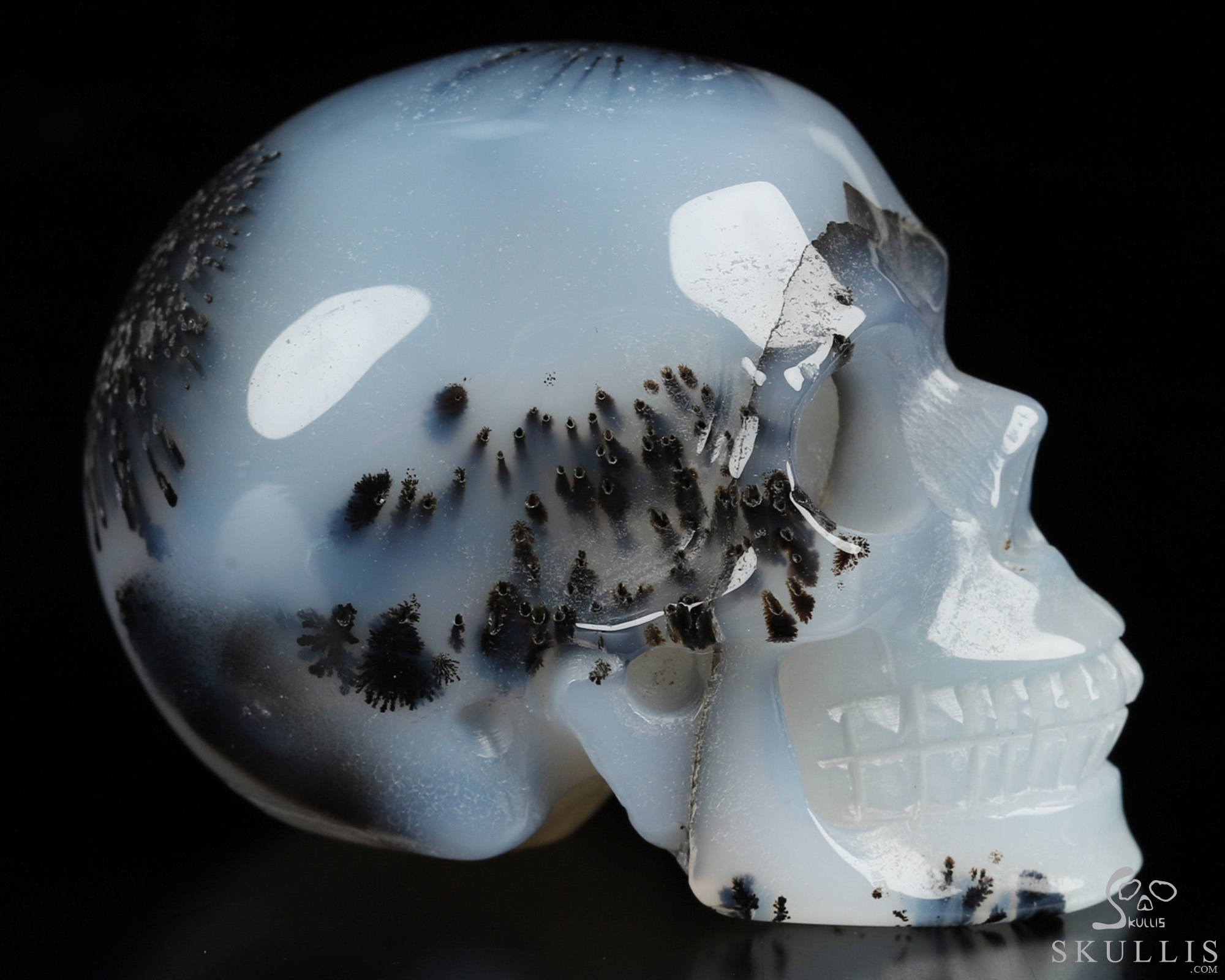 2.0" Sagenitic Agate Hand Carved Crystal Skull, Realistic, Crystal Healing 2.0" Sagenitic Agate Hand Carved Crystal Skull, Realistic, Crystal Healing