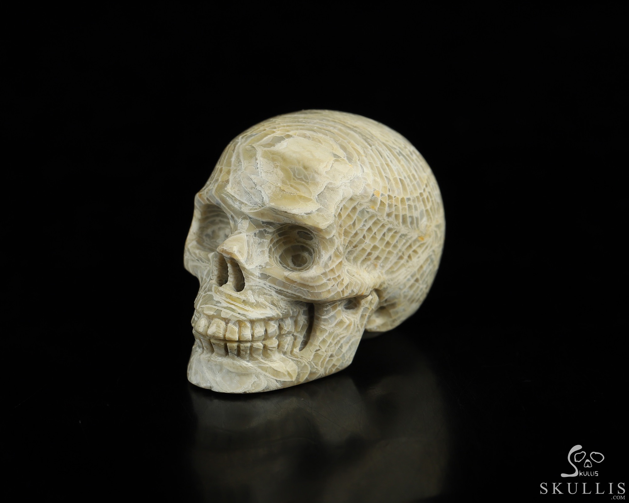 1.1" Coral Fossil Hand Carved Crystal Skull, Realistic, Crystal Healing 1.1" Coral Fossil Hand Carved Crystal Skull, Realistic, Crystal Healing