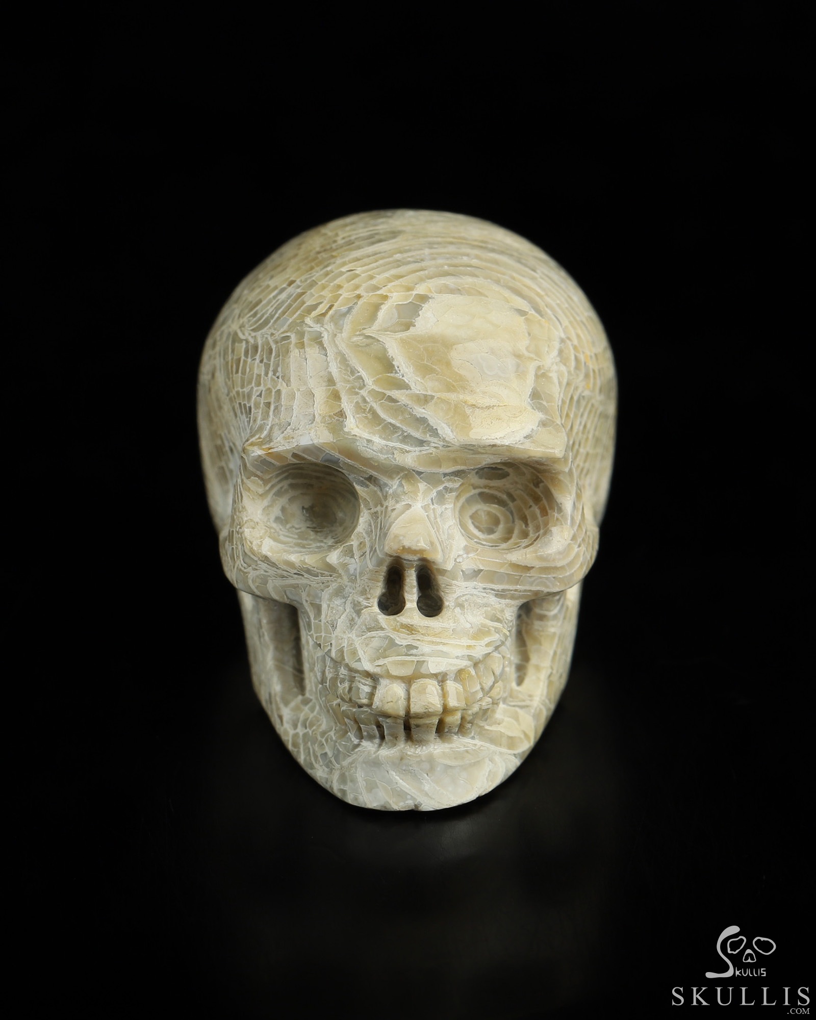1.1" Coral Fossil Hand Carved Crystal Skull, Realistic, Crystal Healing 1.1" Coral Fossil Hand Carved Crystal Skull, Realistic, Crystal Healing