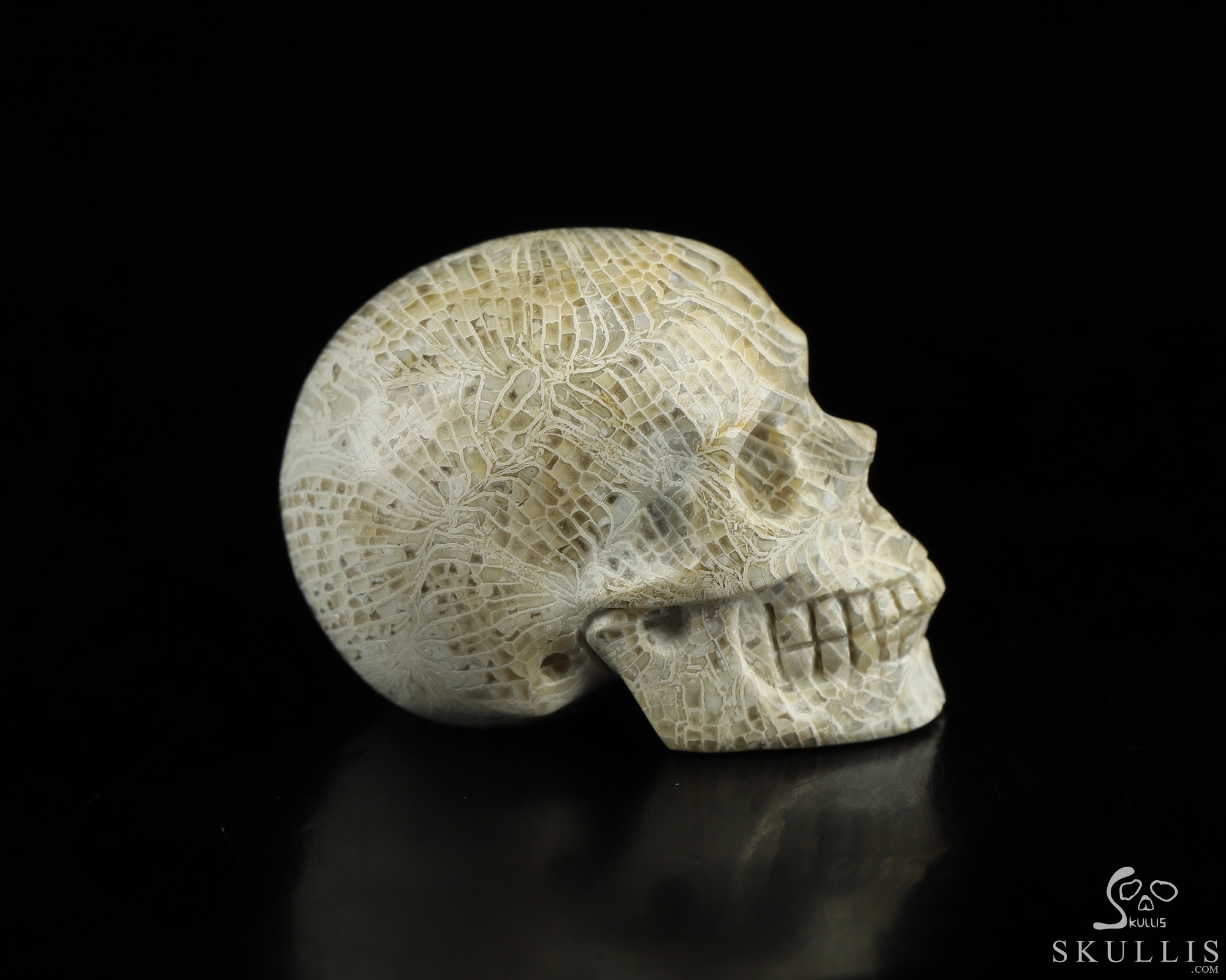 1.1" Coral Fossil Hand Carved Crystal Skull, Realistic, Crystal Healing 1.1" Coral Fossil Hand Carved Crystal Skull, Realistic, Crystal Healing