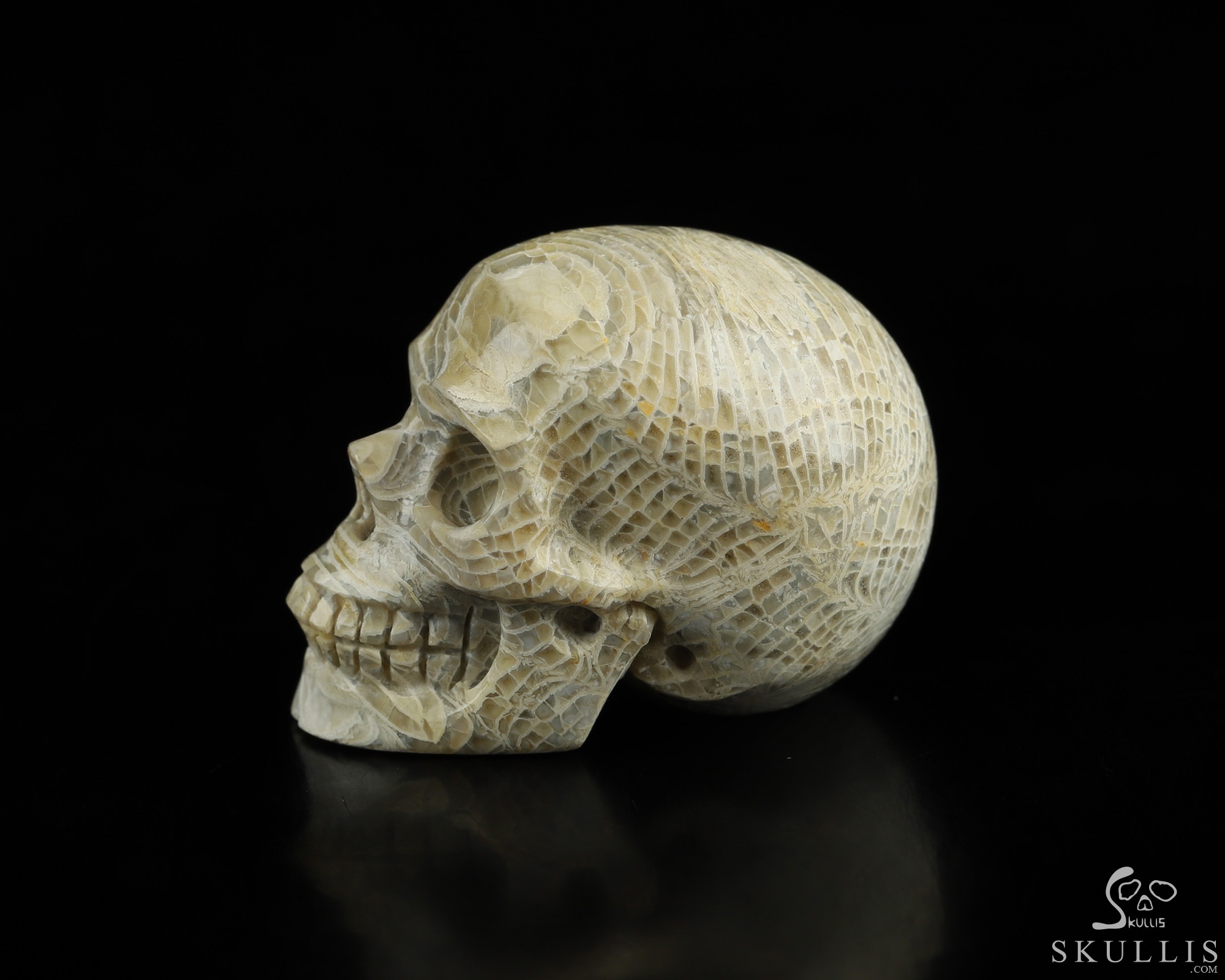 1.1" Coral Fossil Hand Carved Crystal Skull, Realistic, Crystal Healing 1.1" Coral Fossil Hand Carved Crystal Skull, Realistic, Crystal Healing