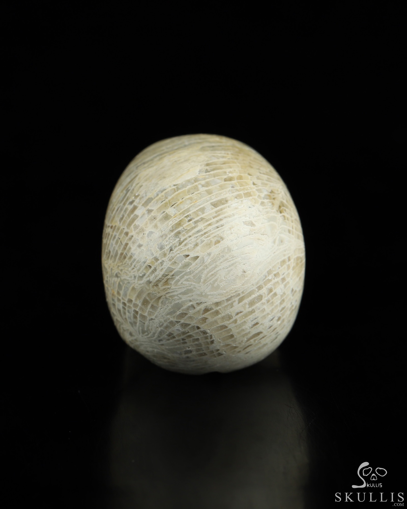 1.1" Coral Fossil Hand Carved Crystal Skull, Realistic, Crystal Healing 1.1" Coral Fossil Hand Carved Crystal Skull, Realistic, Crystal Healing