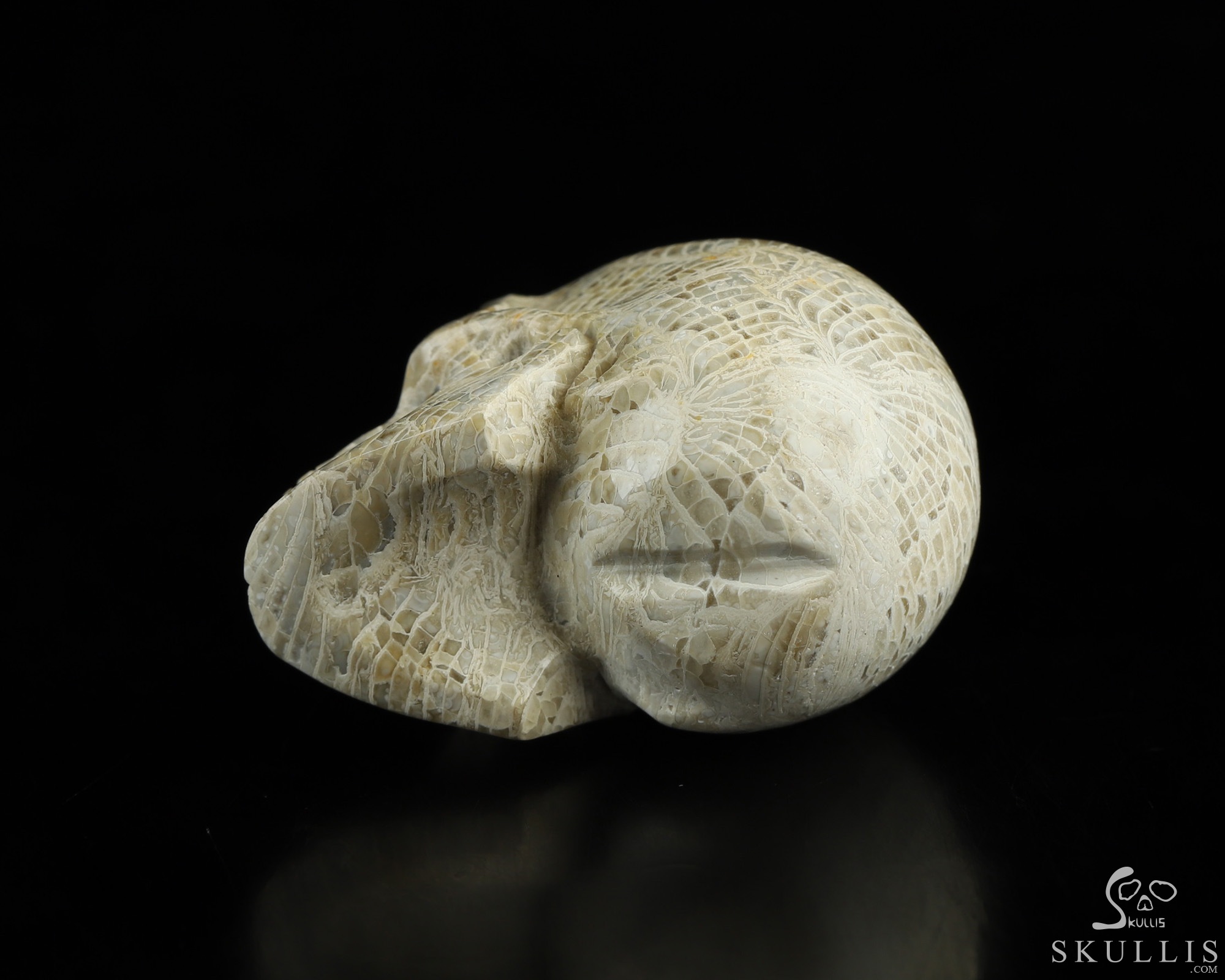 1.1" Coral Fossil Hand Carved Crystal Skull, Realistic, Crystal Healing 1.1" Coral Fossil Hand Carved Crystal Skull, Realistic, Crystal Healing