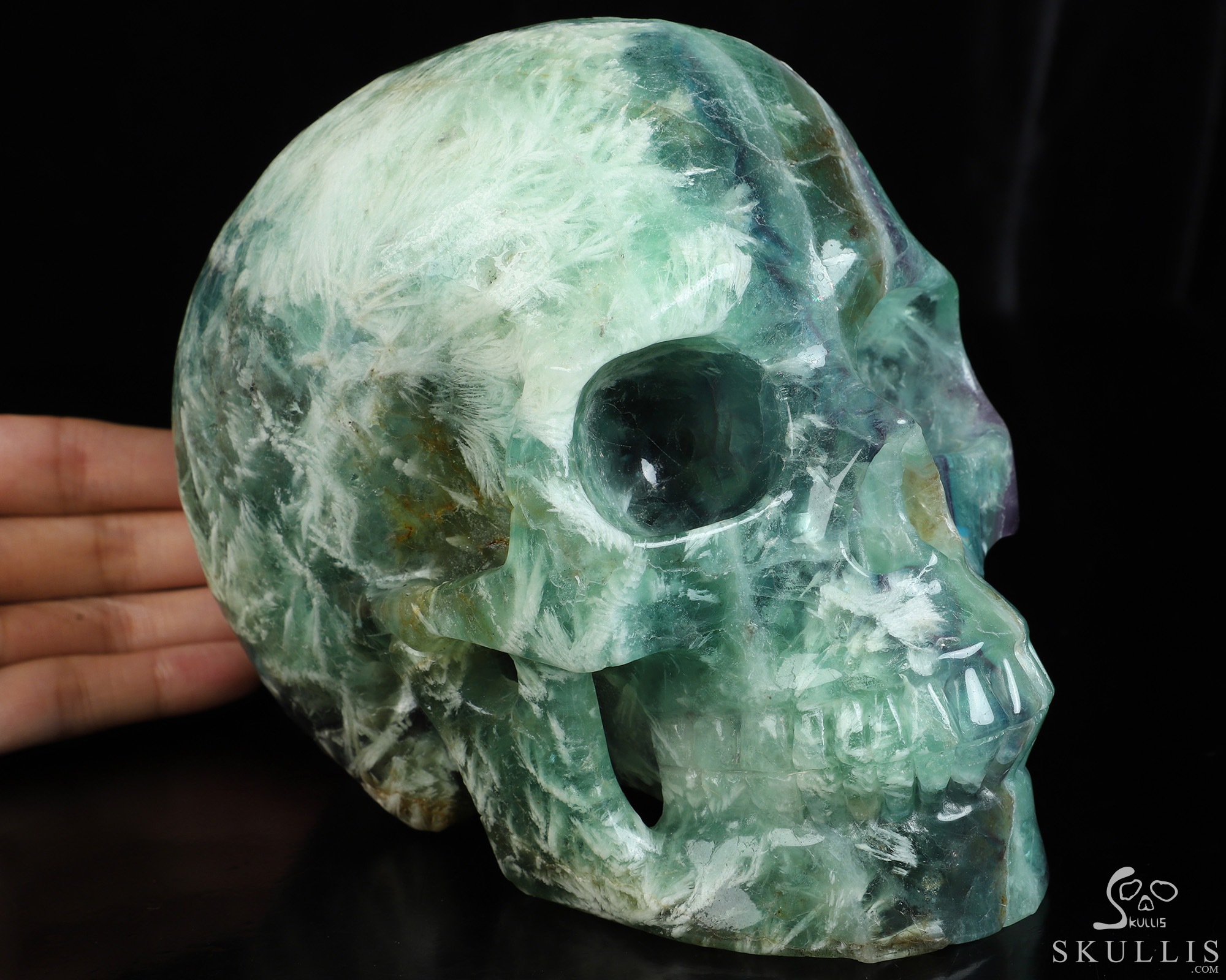 Lifesized 6.7" Fluorite Hand Carved Crystal Skull, Realistic, Crystal Healing Lifesized 6.7" Fluorite Hand Carved Crystal Skull, Realistic, Crystal Healing