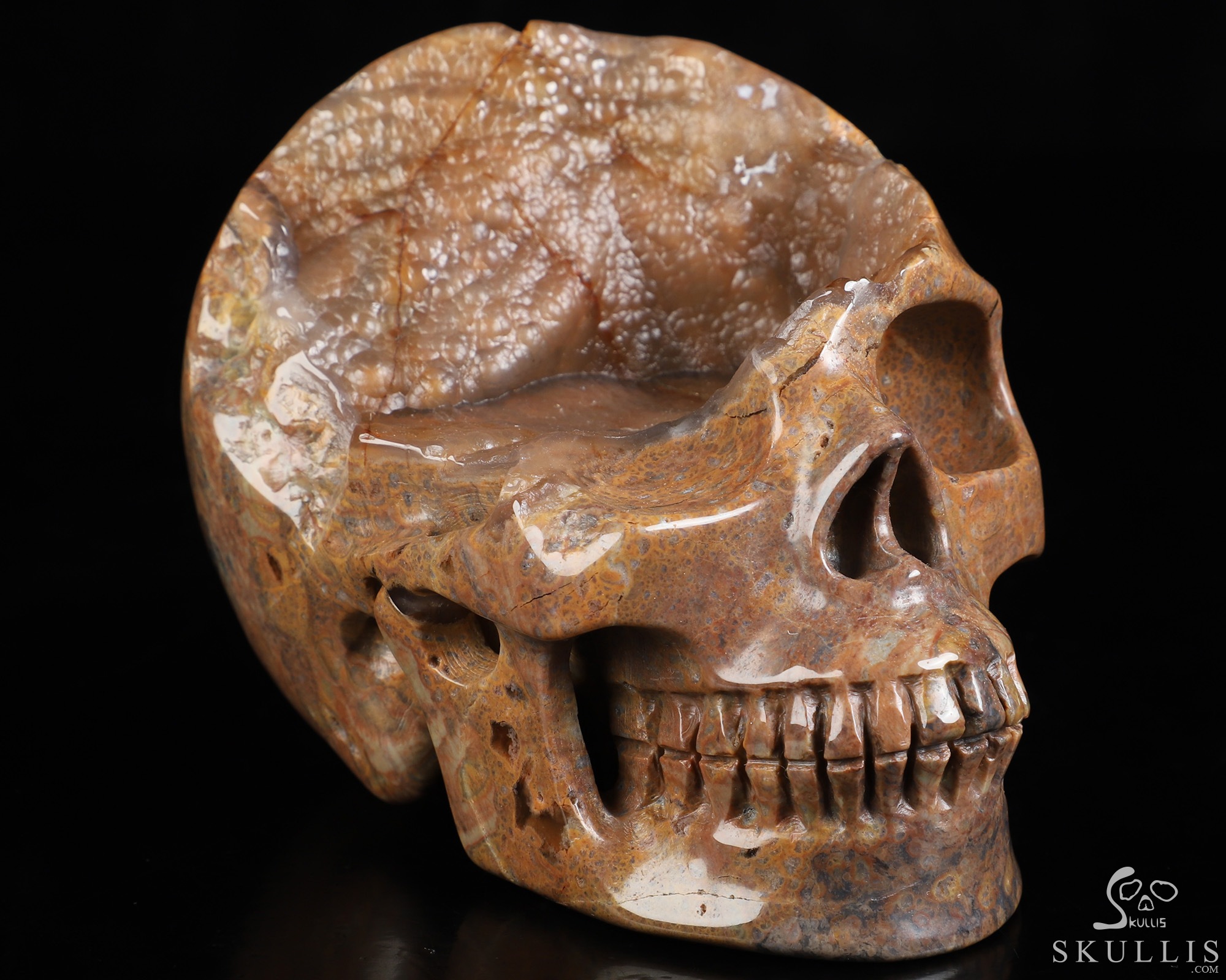 4.7" Dinosaur Egg Agate Hand Carved Crystal Skull, Realistic, Crystal Healing 4.7" Dinosaur Egg Agate Hand Carved Crystal Skull, Realistic, Crystal Healing