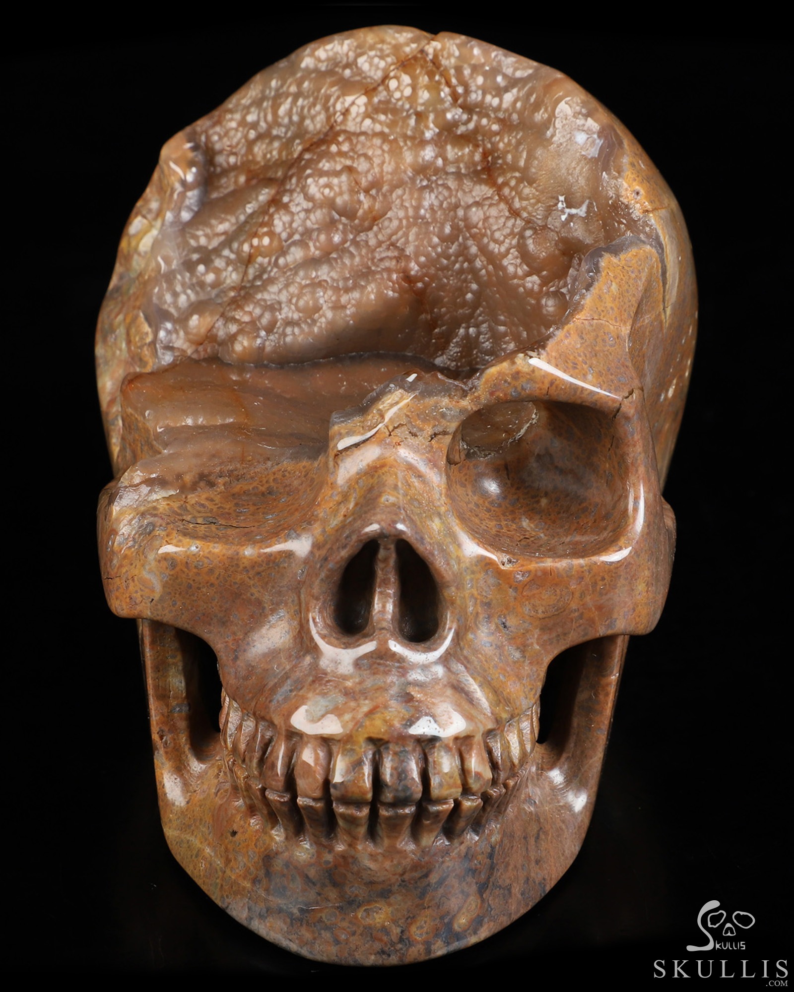 4.7" Dinosaur Egg Agate Hand Carved Crystal Skull, Realistic, Crystal Healing 4.7" Dinosaur Egg Agate Hand Carved Crystal Skull, Realistic, Crystal Healing