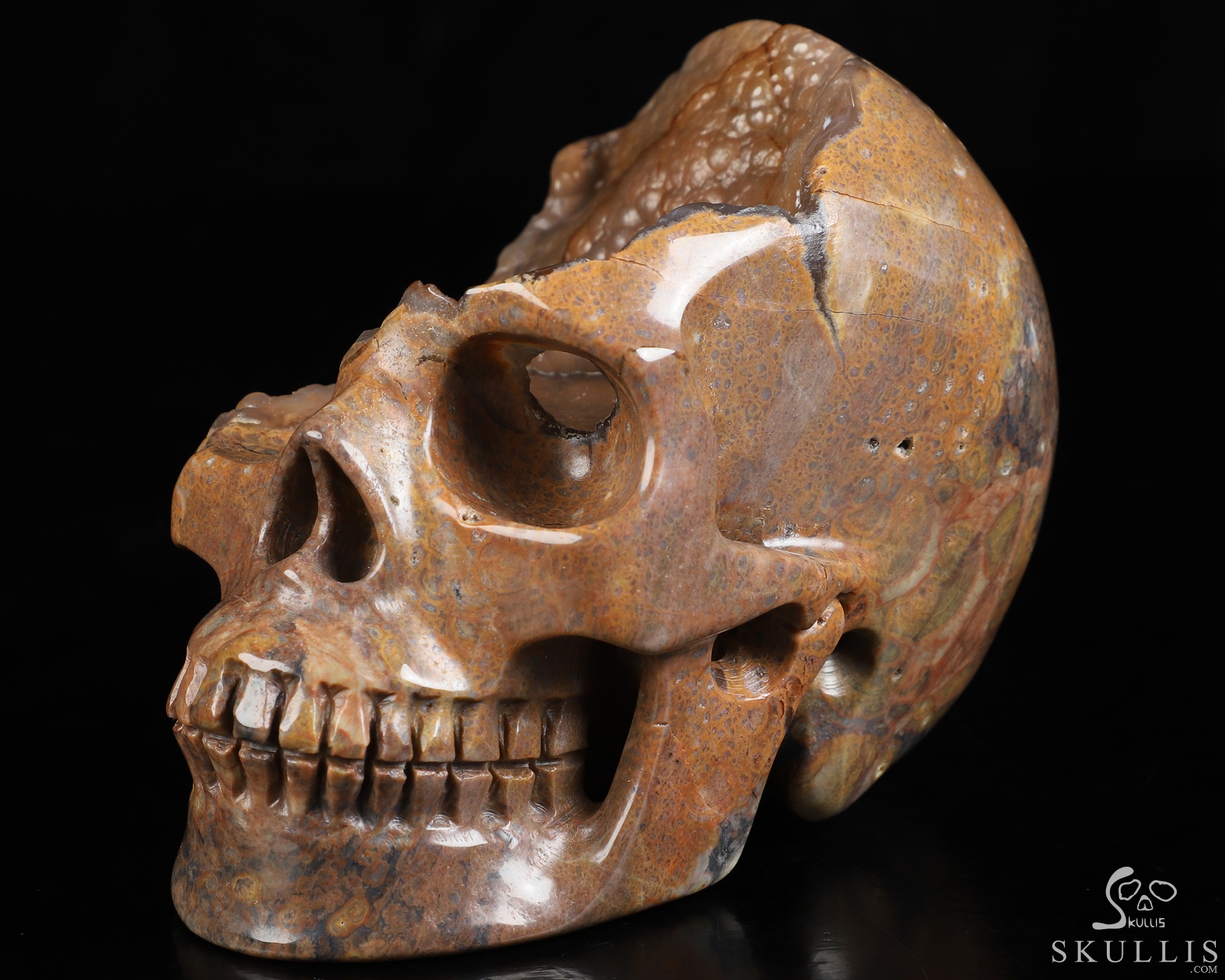 4.7" Dinosaur Egg Agate Hand Carved Crystal Skull, Realistic, Crystal Healing 4.7" Dinosaur Egg Agate Hand Carved Crystal Skull, Realistic, Crystal Healing