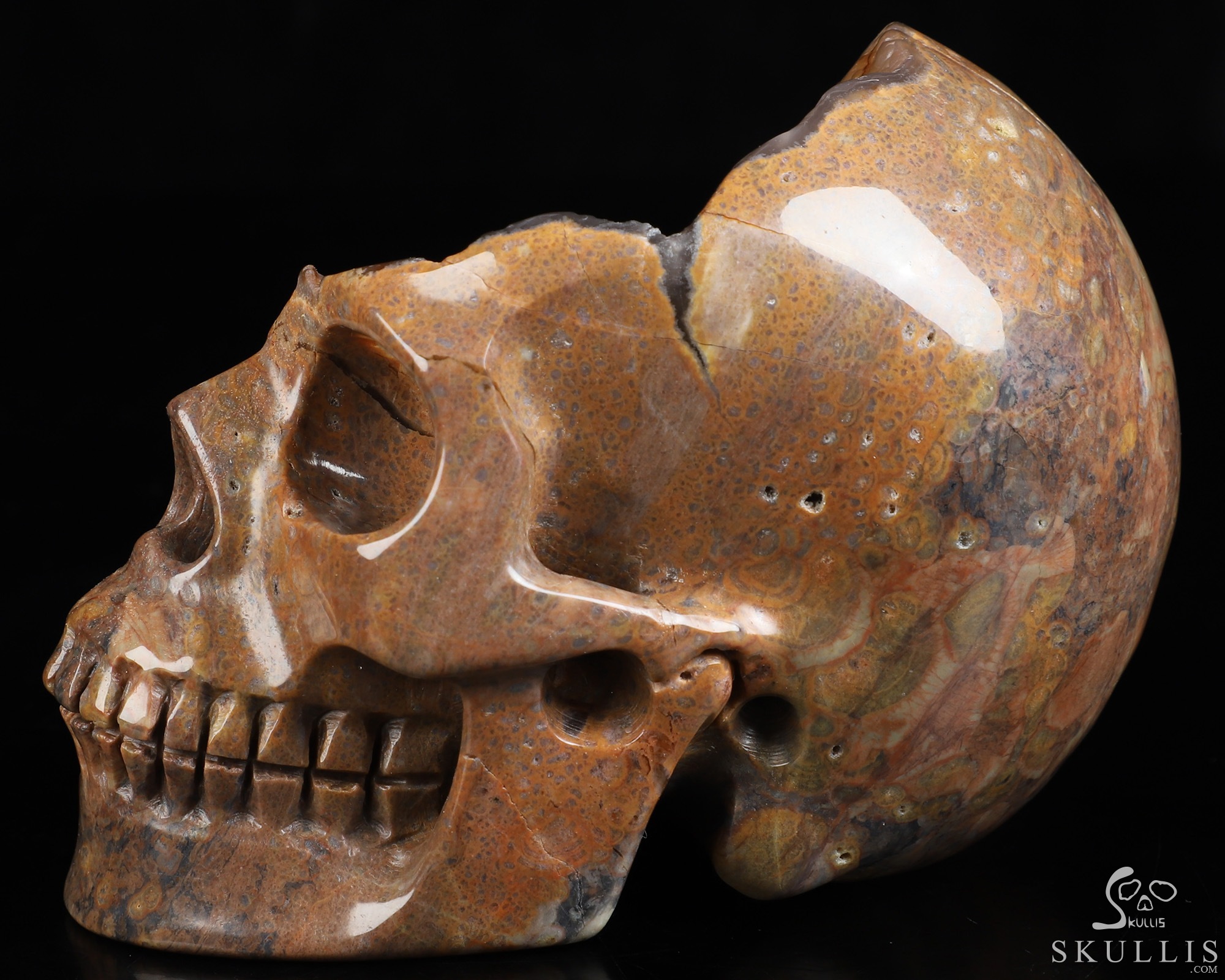 4.7" Dinosaur Egg Agate Hand Carved Crystal Skull, Realistic, Crystal Healing 4.7" Dinosaur Egg Agate Hand Carved Crystal Skull, Realistic, Crystal Healing