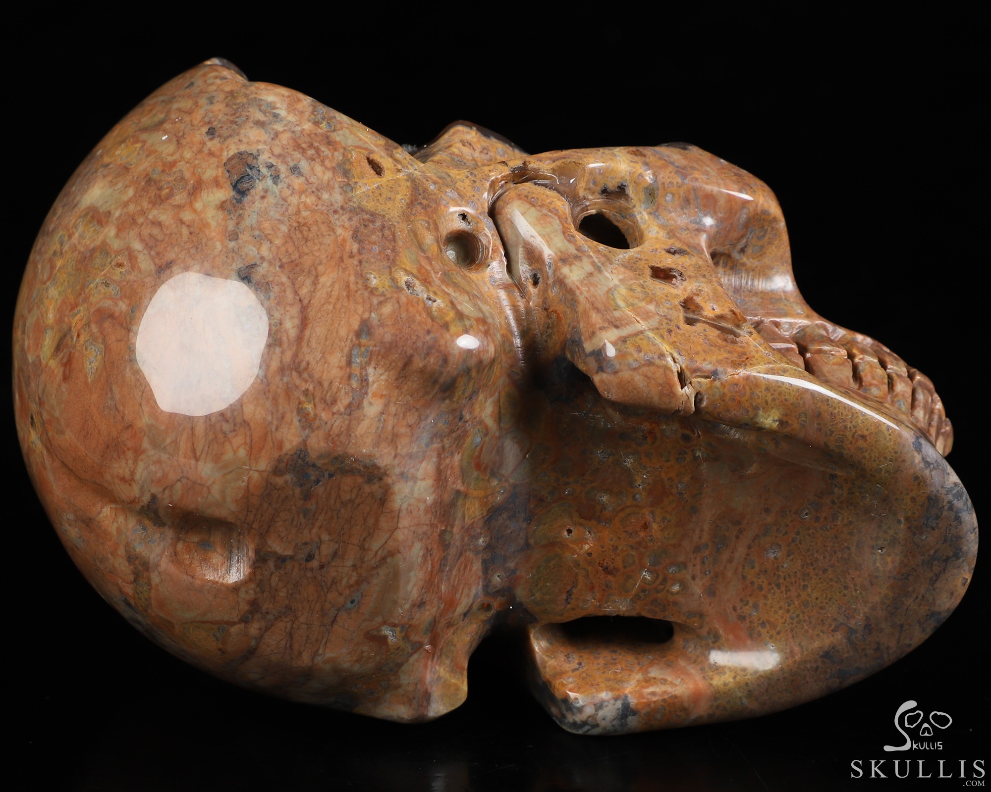 4.7" Dinosaur Egg Agate Hand Carved Crystal Skull, Realistic, Crystal Healing 4.7" Dinosaur Egg Agate Hand Carved Crystal Skull, Realistic, Crystal Healing