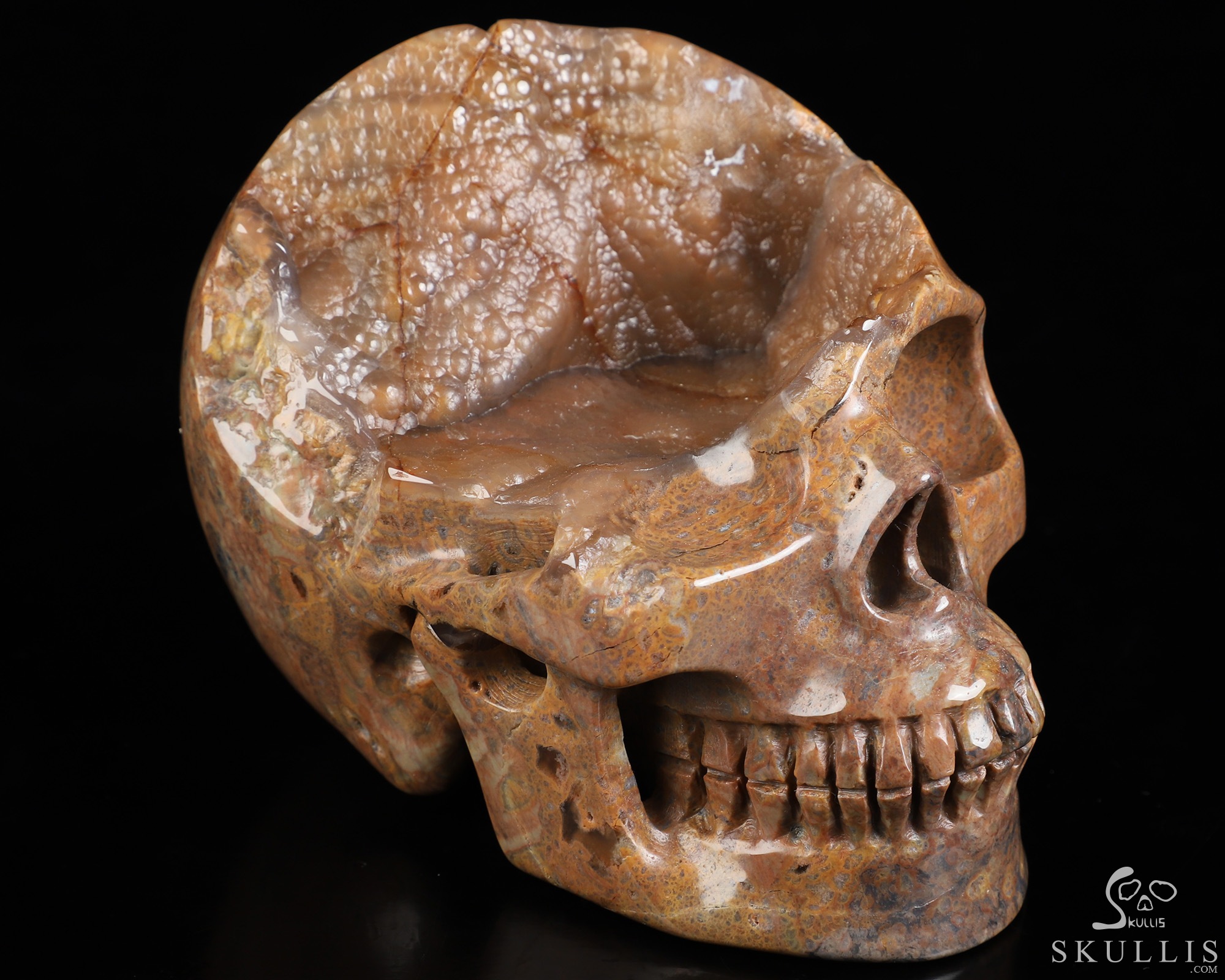 4.7" Dinosaur Egg Agate Hand Carved Crystal Skull, Realistic, Crystal Healing 4.7" Dinosaur Egg Agate Hand Carved Crystal Skull, Realistic, Crystal Healing