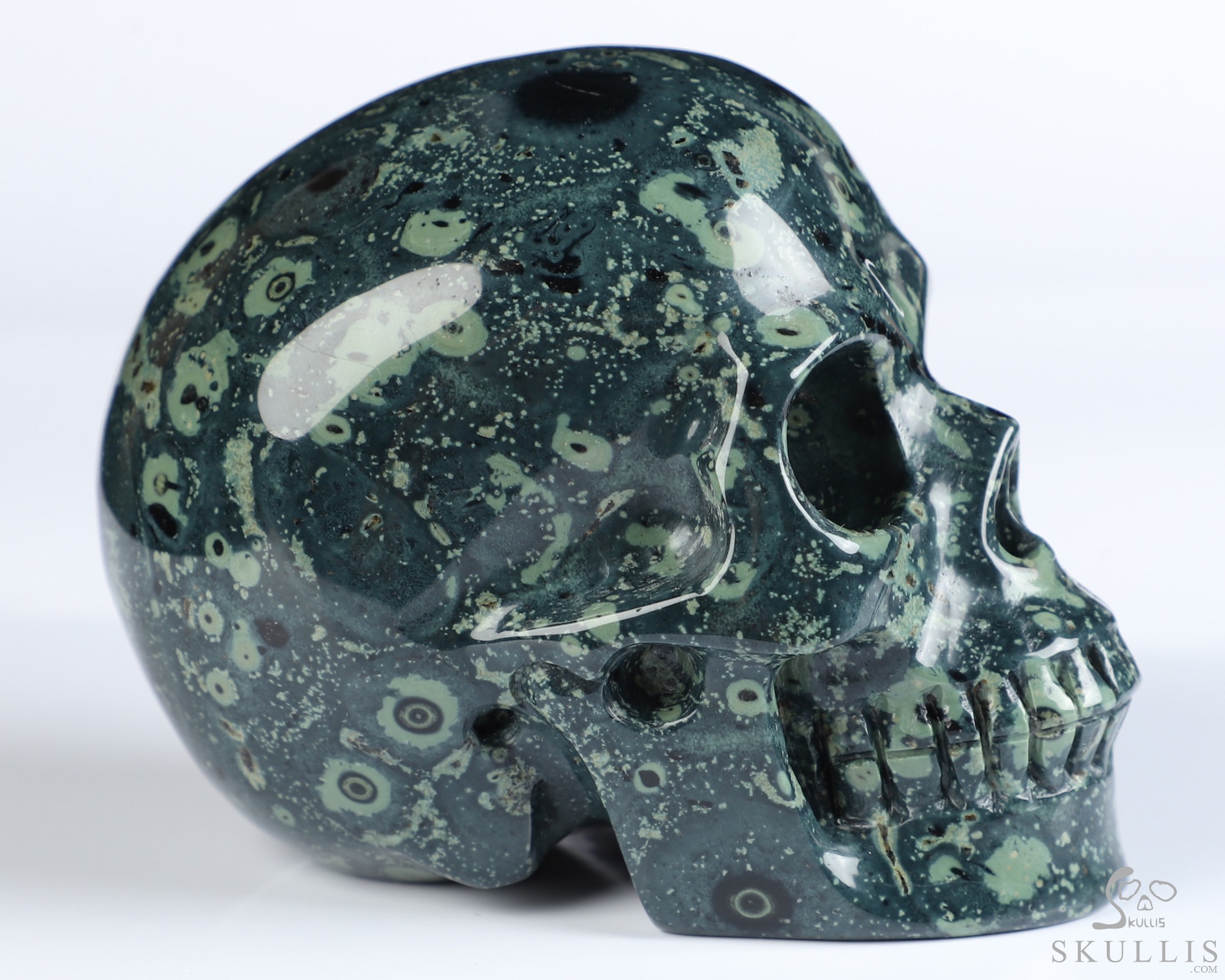 3.5" Kambaba Jasper Hand Carved Crystal Skull, Realistic, Crystal Healing 3.5" Kambaba Jasper Hand Carved Crystal Skull, Realistic, Crystal Healing