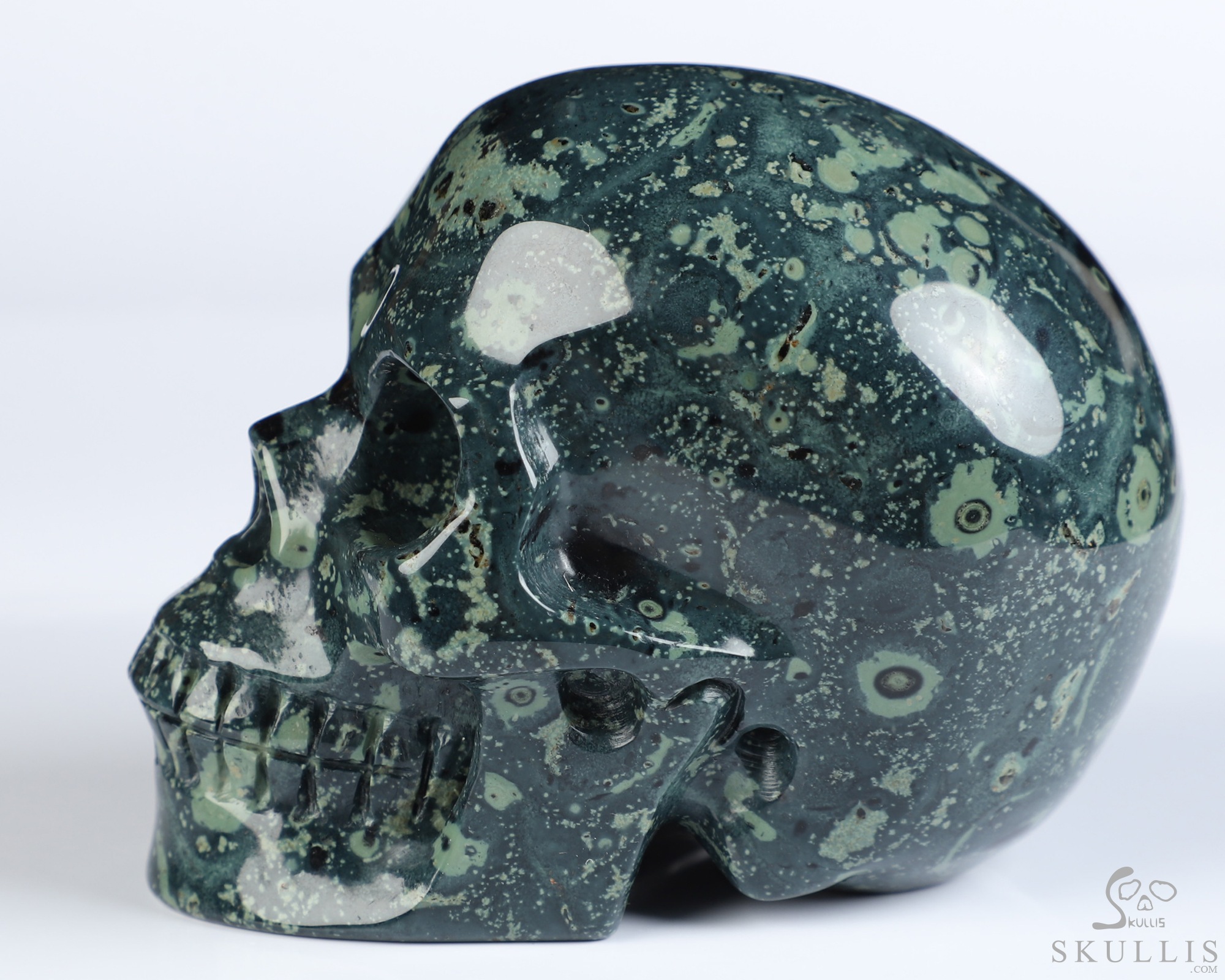 3.5" Kambaba Jasper Hand Carved Crystal Skull, Realistic, Crystal Healing 3.5" Kambaba Jasper Hand Carved Crystal Skull, Realistic, Crystal Healing