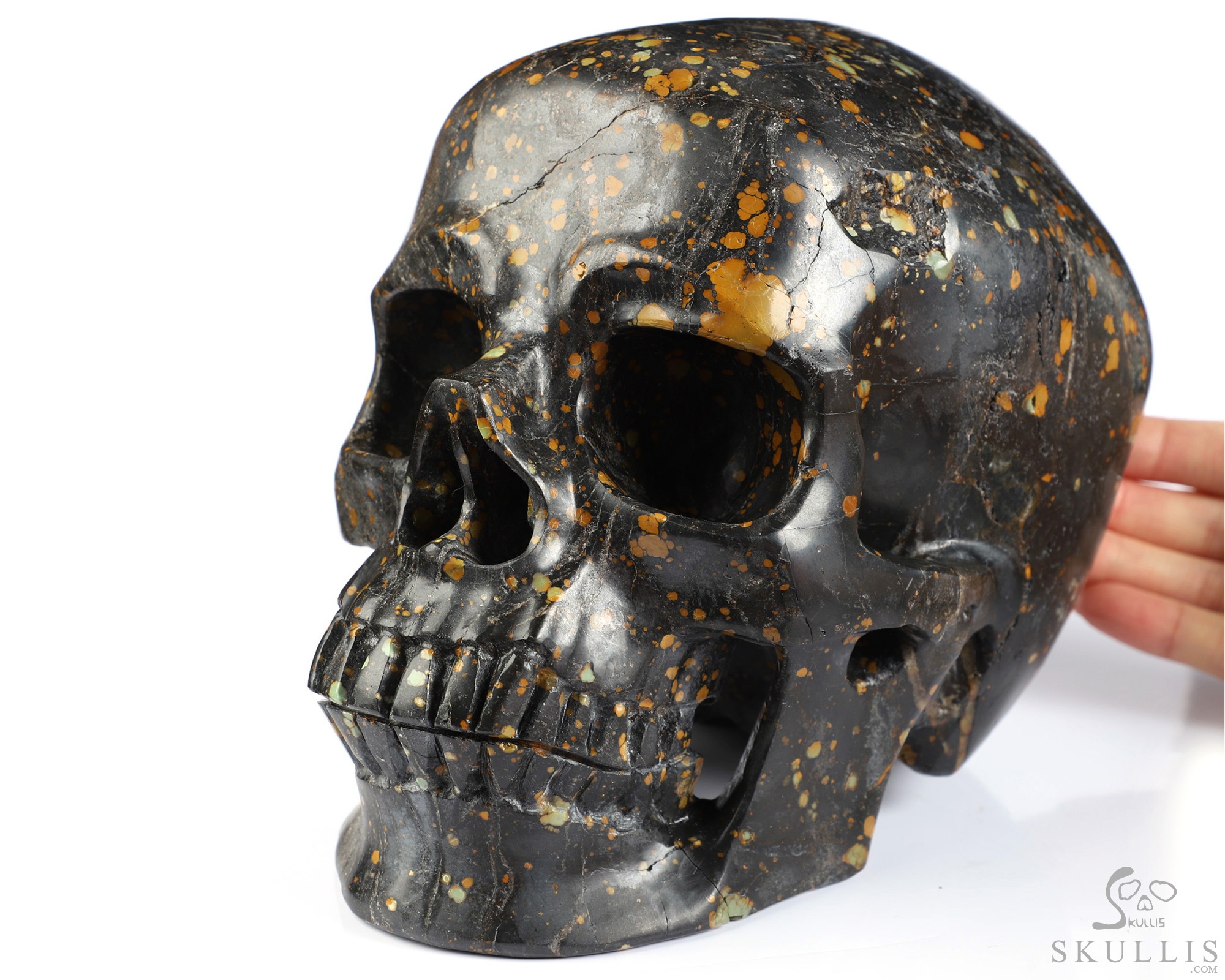 Lifesized 7.8" Turquoise Hand Carved Crystal Skull, Super Realistic, Crystal Healing Lifesized 7.8" Turquoise Hand Carved Crystal Skull, Super Realistic, Crystal Healing