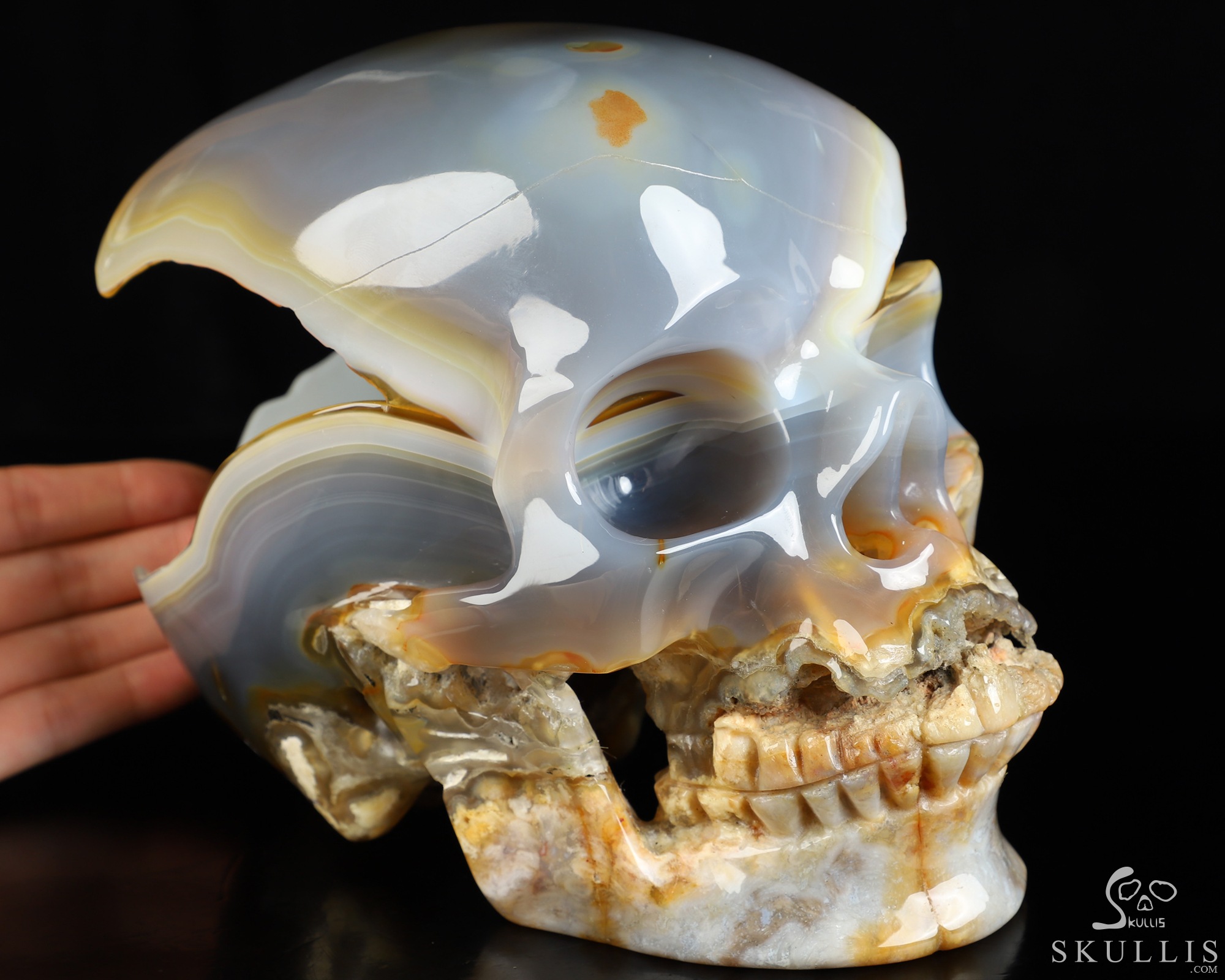 Lifesized 7.7" Agate Geode Hand Carved Crystal Skull, Super Realistic, Crystal Healing Lifesized 7.7" Agate Geode Hand Carved Crystal Skull, Super Realistic, Crystal Healing