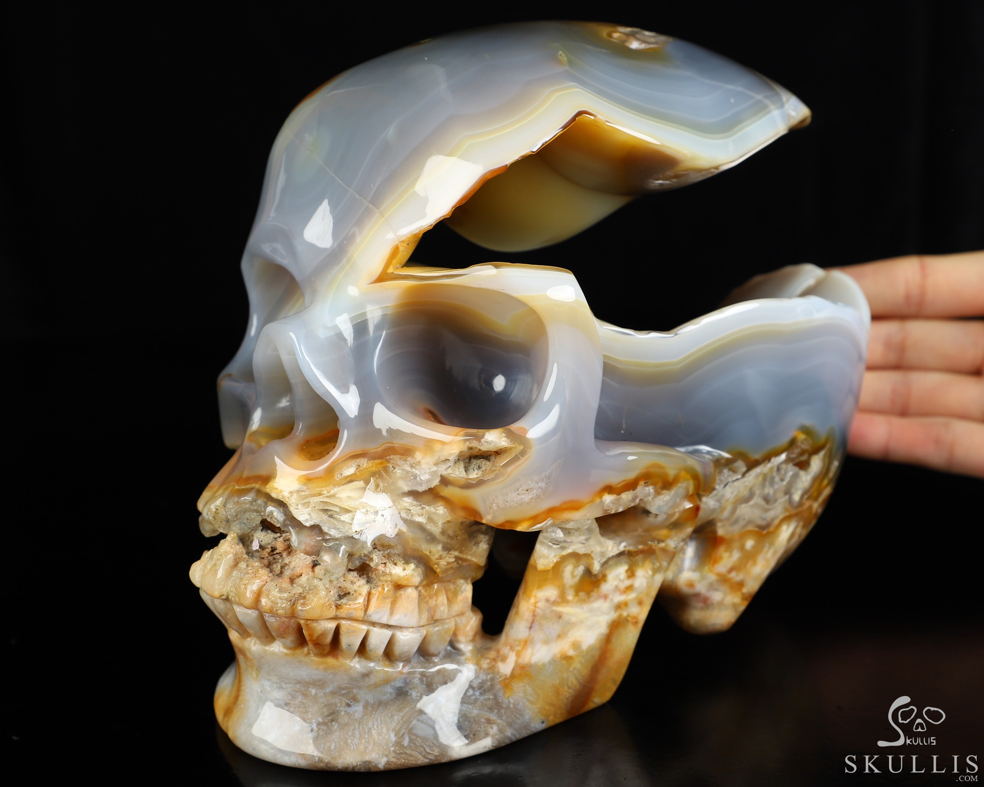 Lifesized 7.7" Agate Geode Hand Carved Crystal Skull, Super Realistic, Crystal Healing Lifesized 7.7" Agate Geode Hand Carved Crystal Skull, Super Realistic, Crystal Healing