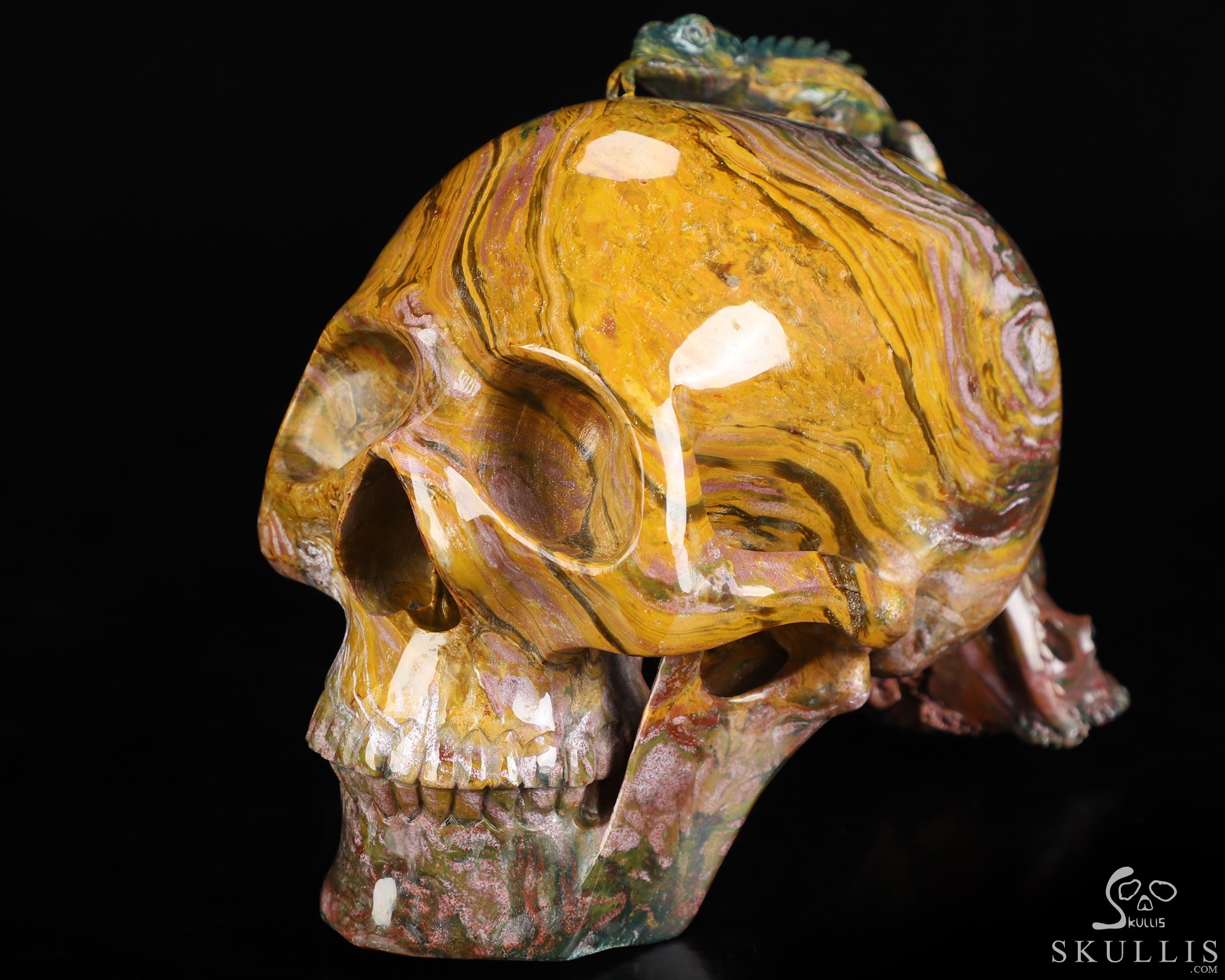 6.6" Ocean Jasper Hand Carved Crystal Skull and Lizard Fine Art Sculpture, Crystal Healing 6.6" Ocean Jasper Hand Carved Crystal Skull and Lizard Fine Art Sculpture, Crystal Healing