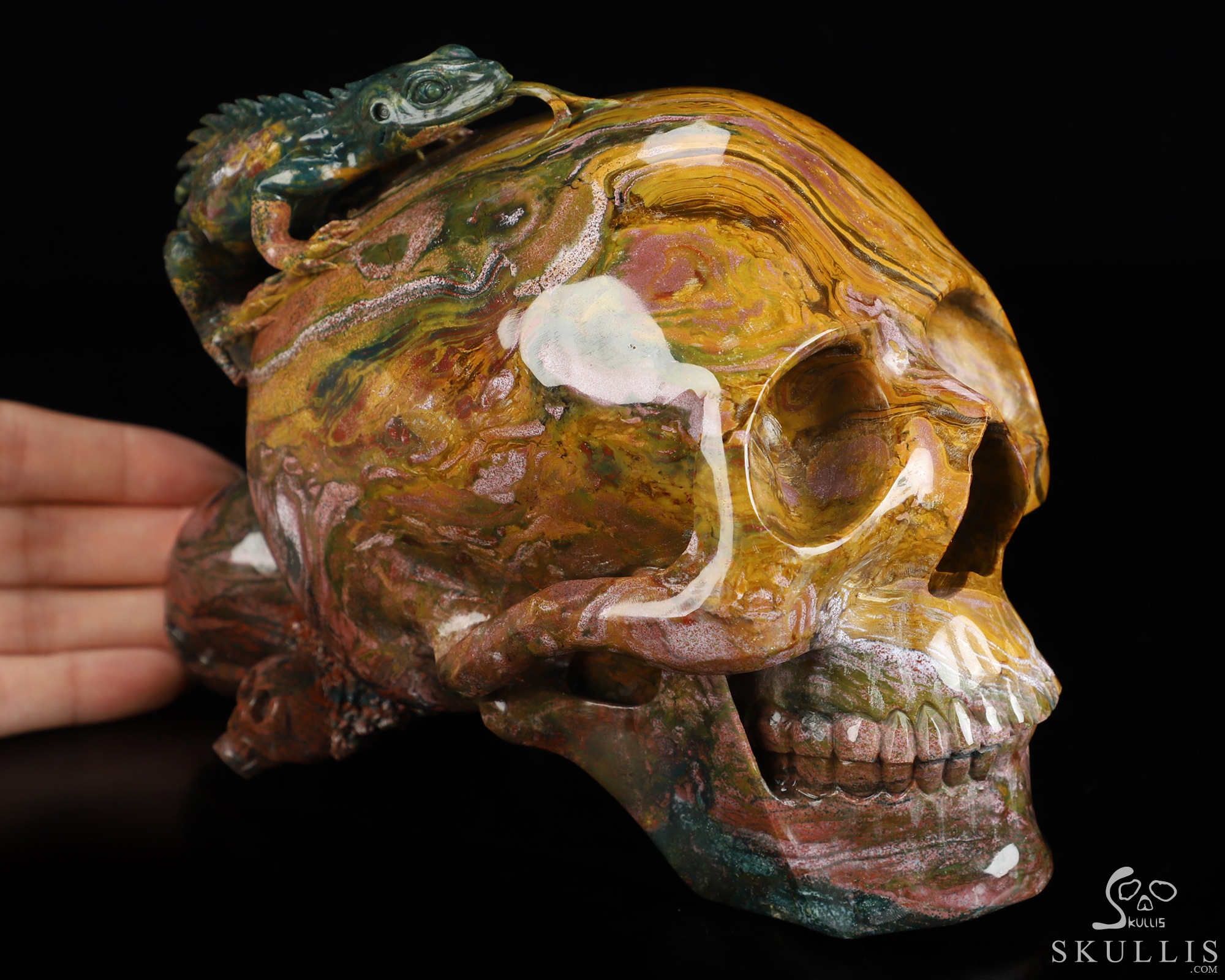 6.6" Ocean Jasper Hand Carved Crystal Skull and Lizard Fine Art Sculpture, Crystal Healing 6.6" Ocean Jasper Hand Carved Crystal Skull and Lizard Fine Art Sculpture, Crystal Healing