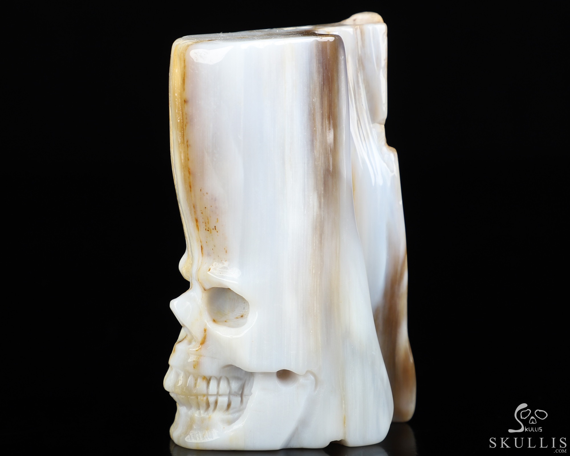 3.3" Petrified Wood Hand Carved Crystal Skull Fine Art Sculpture, Crystal Healing 3.3" Petrified Wood Hand Carved Crystal Skull Fine Art Sculpture, Crystal Healing