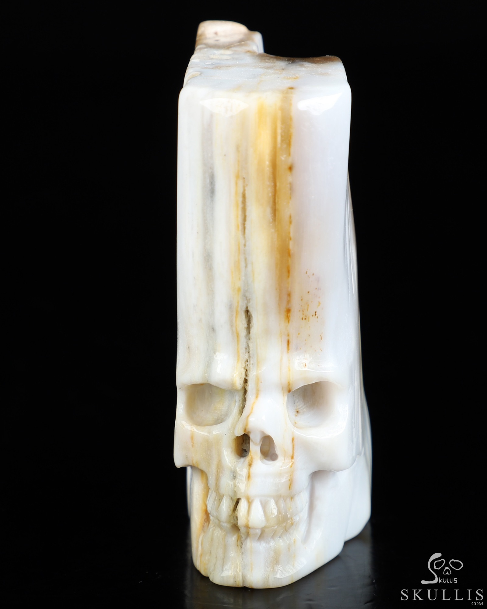 3.3" Petrified Wood Hand Carved Crystal Skull Fine Art Sculpture, Crystal Healing 3.3" Petrified Wood Hand Carved Crystal Skull Fine Art Sculpture, Crystal Healing