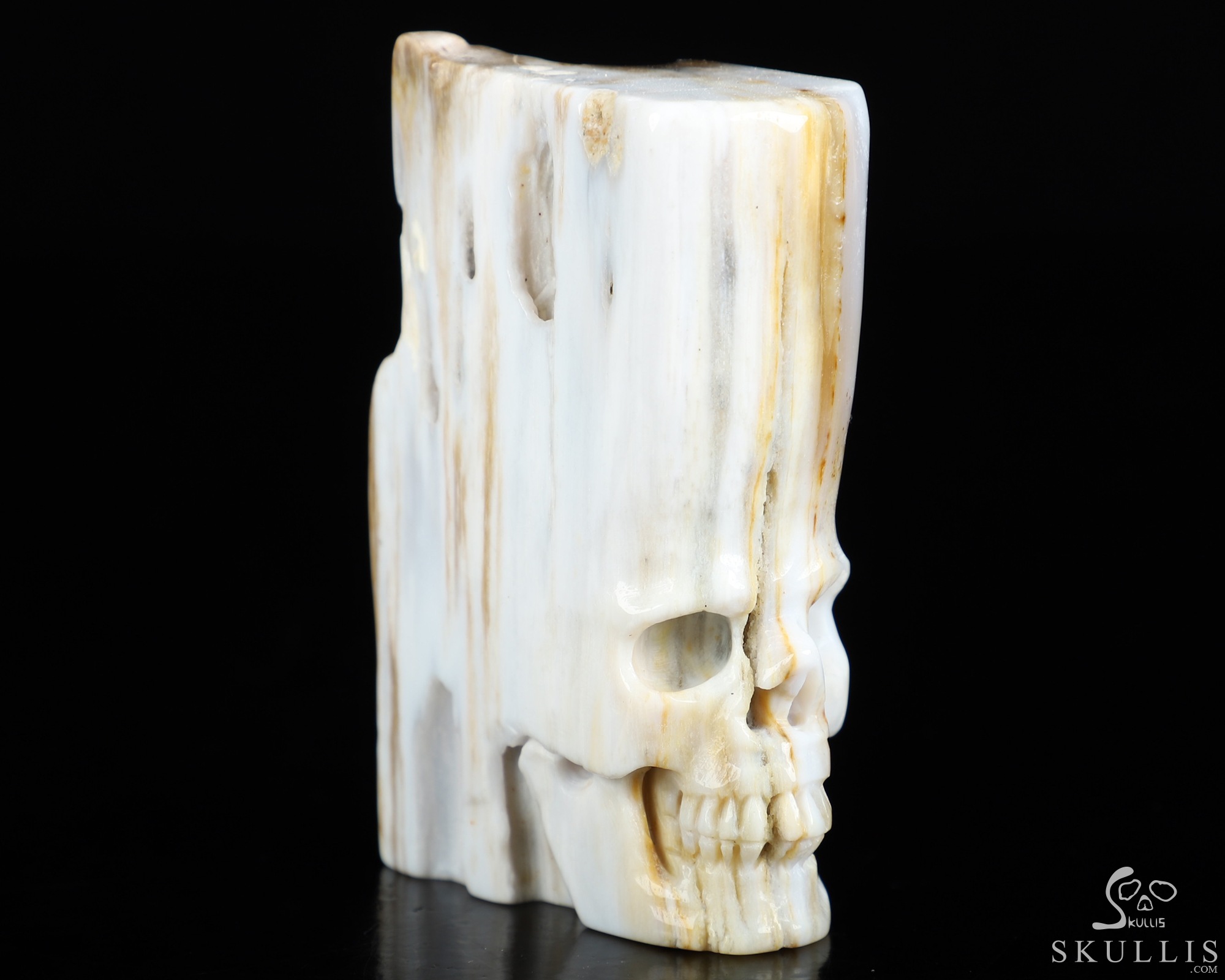 3.3" Petrified Wood Hand Carved Crystal Skull Fine Art Sculpture, Crystal Healing 3.3" Petrified Wood Hand Carved Crystal Skull Fine Art Sculpture, Crystal Healing