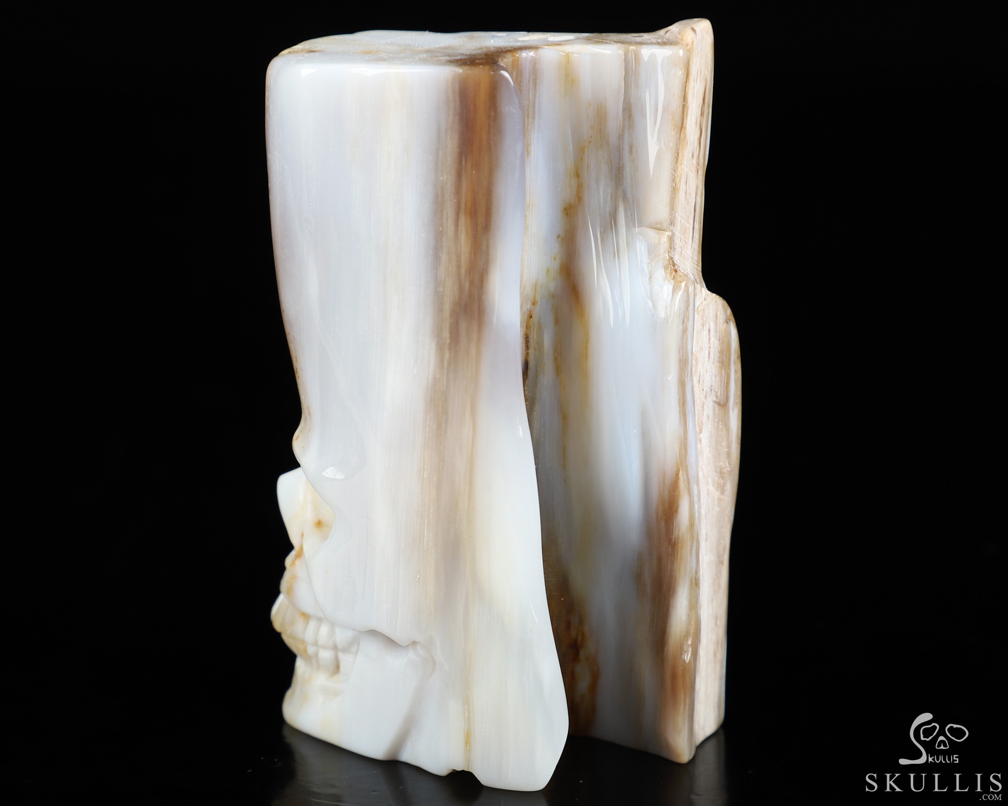 3.3" Petrified Wood Hand Carved Crystal Skull Fine Art Sculpture, Crystal Healing 3.3" Petrified Wood Hand Carved Crystal Skull Fine Art Sculpture, Crystal Healing