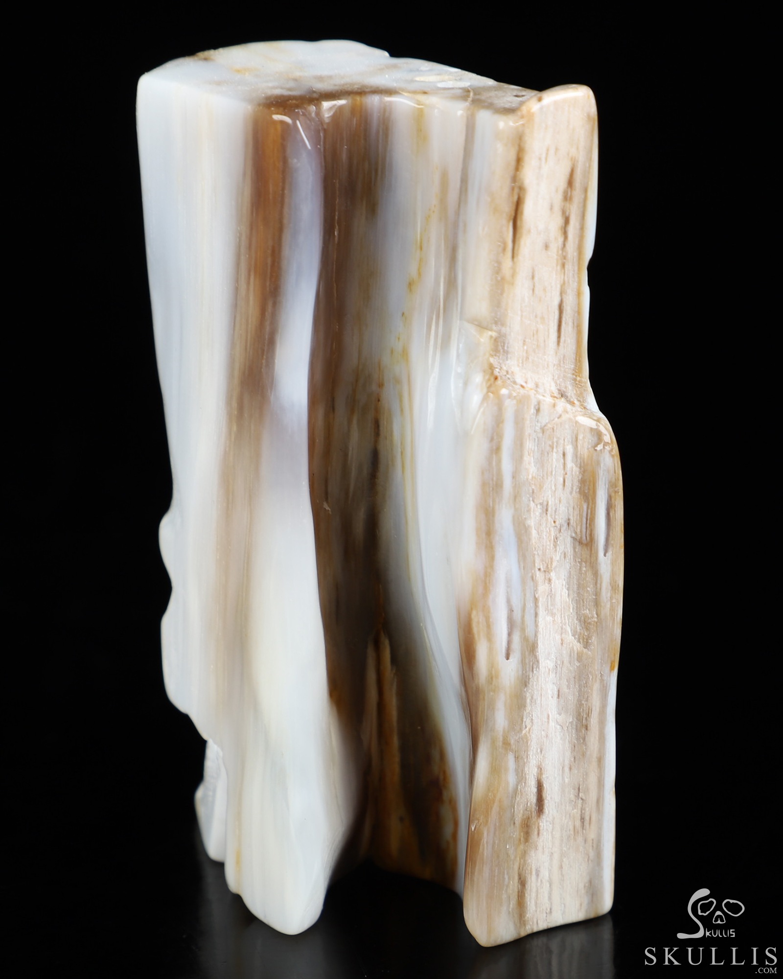 3.3" Petrified Wood Hand Carved Crystal Skull Fine Art Sculpture, Crystal Healing 3.3" Petrified Wood Hand Carved Crystal Skull Fine Art Sculpture, Crystal Healing