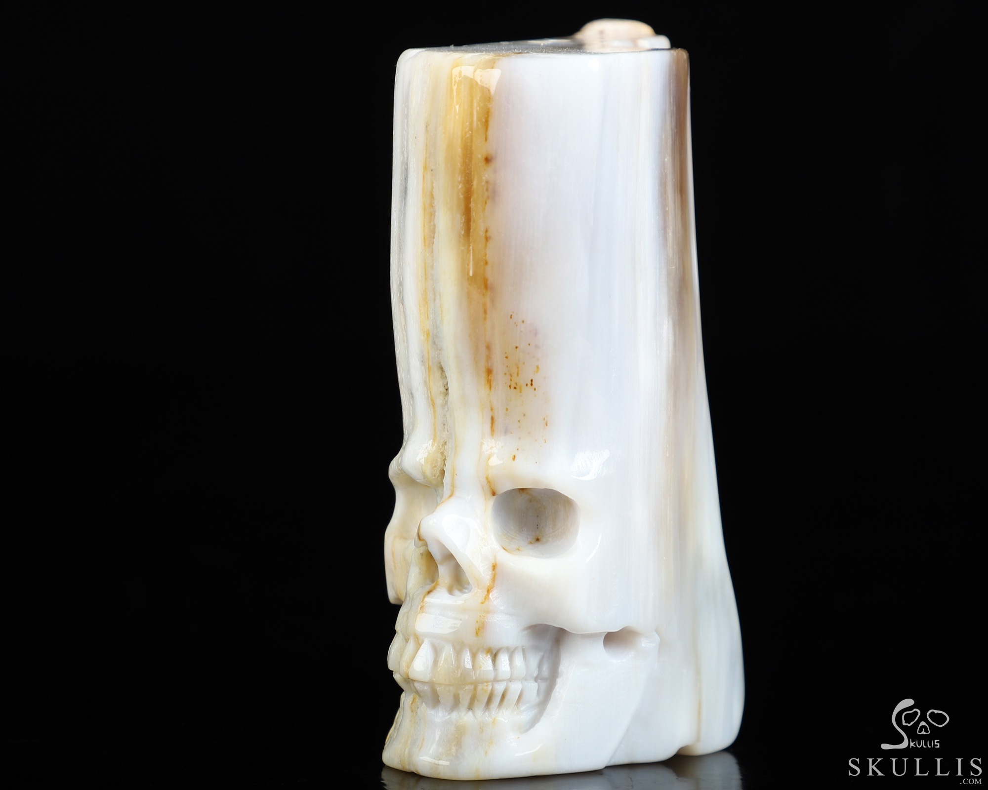 3.3" Petrified Wood Hand Carved Crystal Skull Fine Art Sculpture, Crystal Healing 3.3" Petrified Wood Hand Carved Crystal Skull Fine Art Sculpture, Crystal Healing