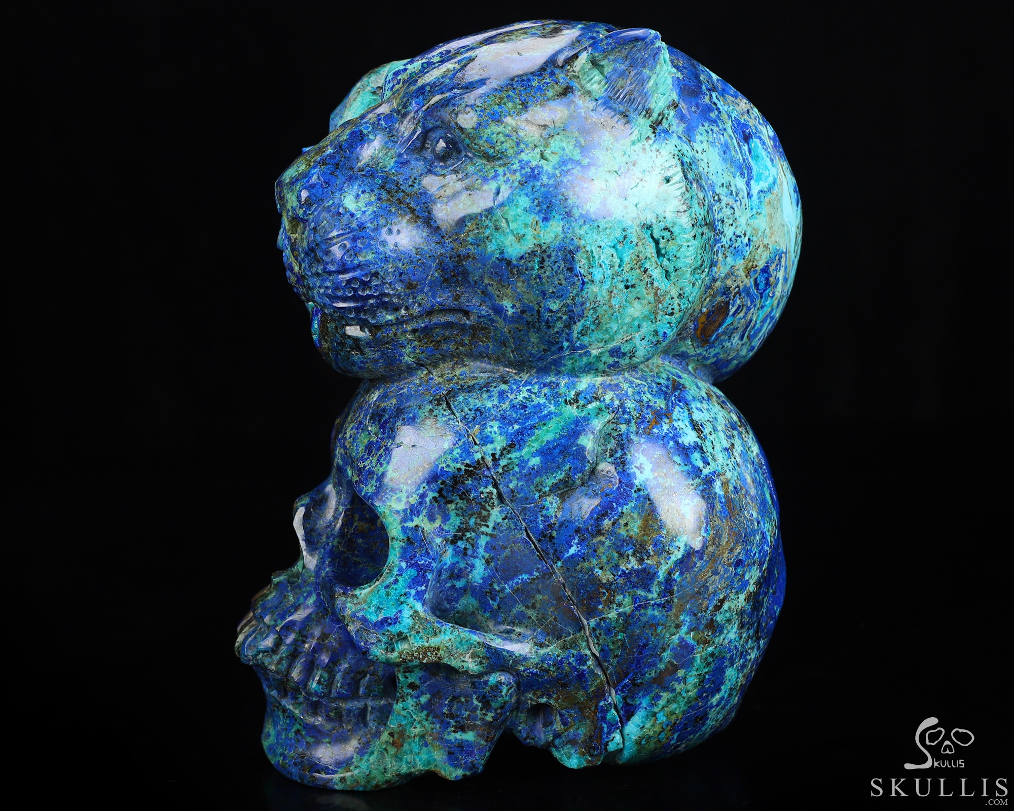6.3" Azurite & Malachite Hand Carved Crystal Skull and Tiger Fine Art Sculpture, Crystal Healing 6.3" Azurite & Malachite Hand Carved Crystal Skull and Tiger Fine Art Sculpture, Crystal Healing