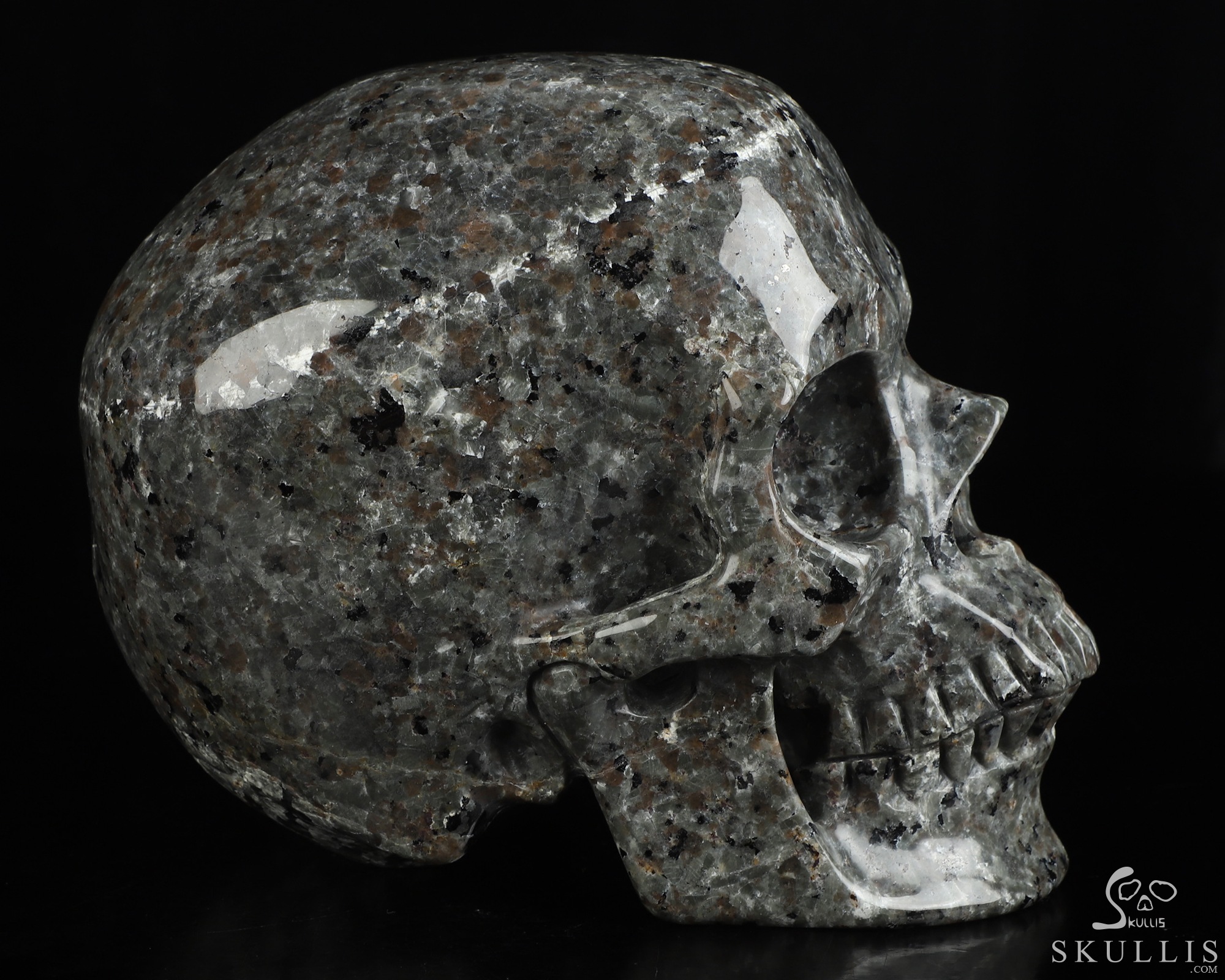 Lifesized 6.9" Yooperlites Hand Carved Crystal Skull, Super Realistic, Crystal Healing Lifesized 6.9" Yooperlites Hand Carved Crystal Skull, Super Realistic, Crystal Healing