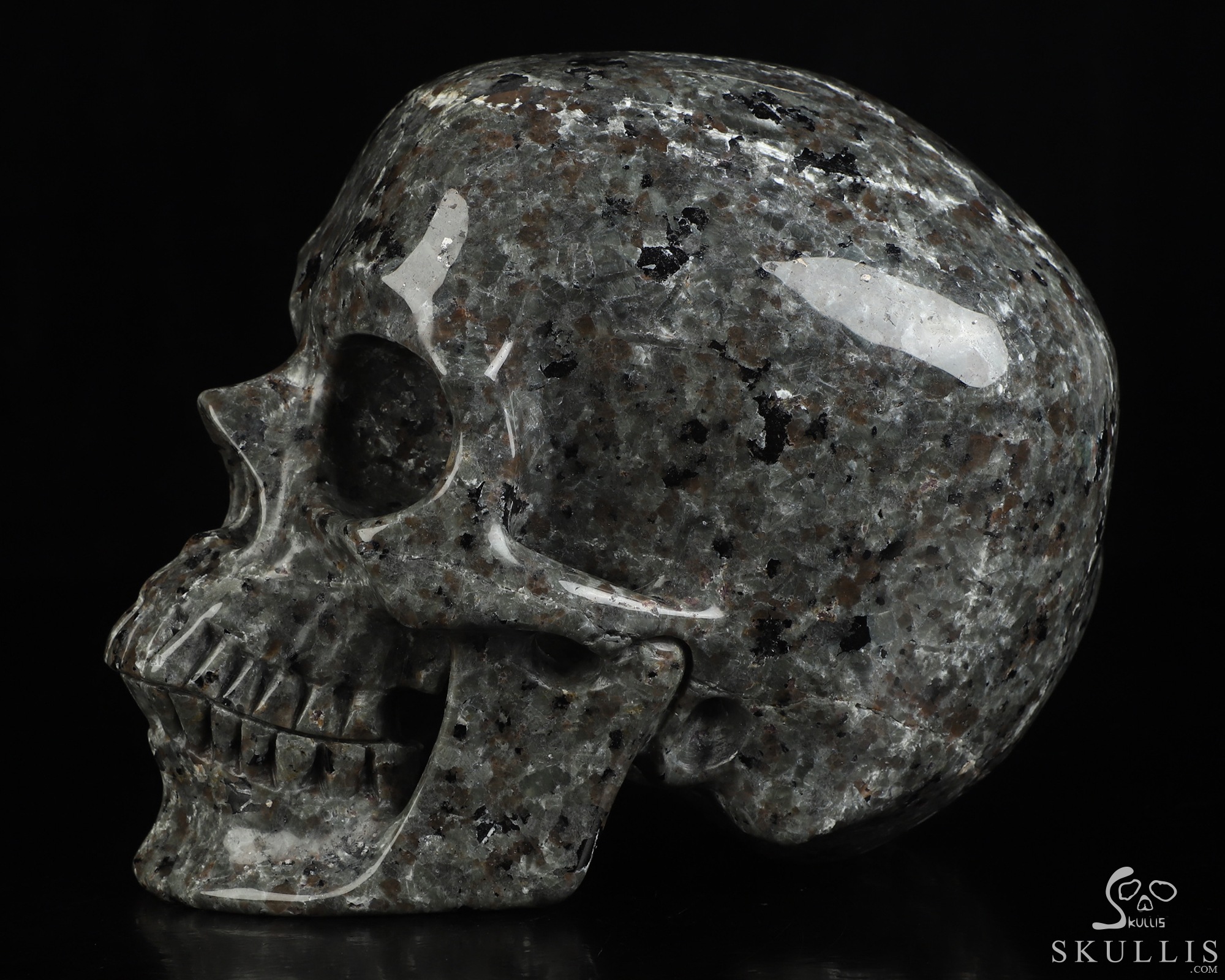Lifesized 6.9" Yooperlites Hand Carved Crystal Skull, Super Realistic, Crystal Healing Lifesized 6.9" Yooperlites Hand Carved Crystal Skull, Super Realistic, Crystal Healing