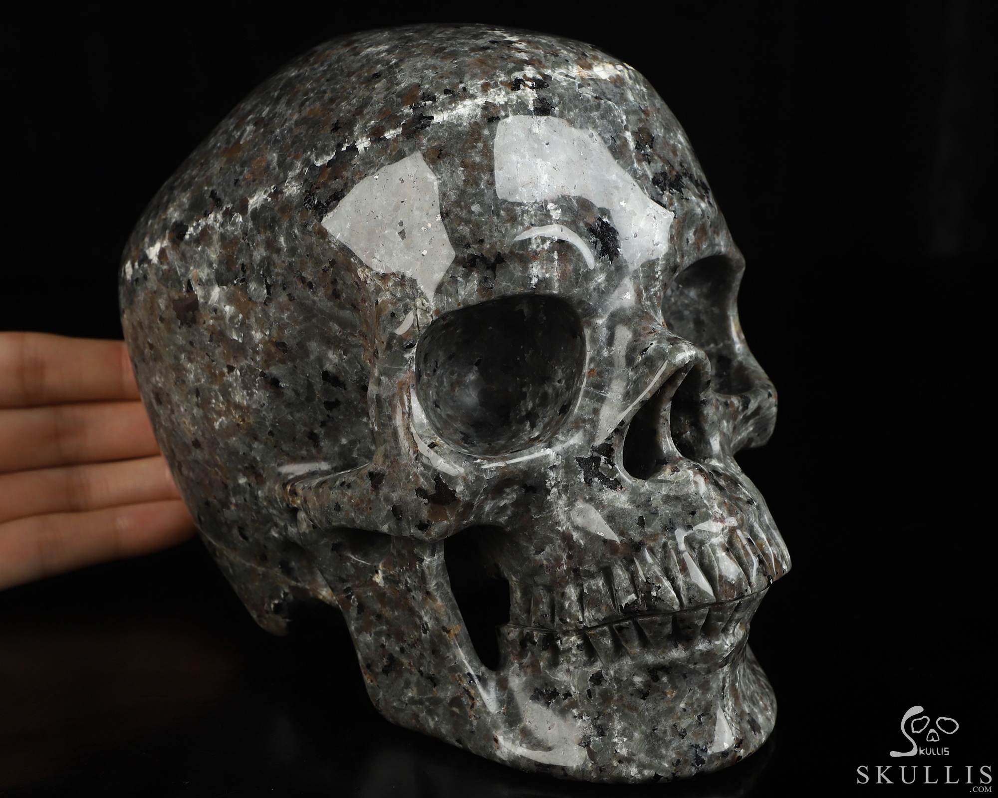Lifesized 6.9" Yooperlites Hand Carved Crystal Skull, Super Realistic, Crystal Healing Lifesized 6.9" Yooperlites Hand Carved Crystal Skull, Super Realistic, Crystal Healing