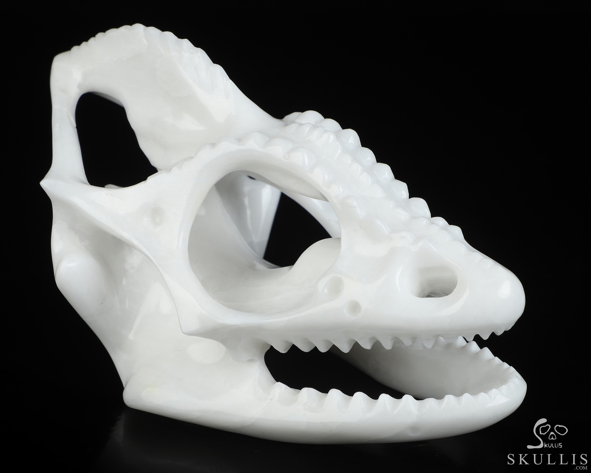 5.4" White Jade Hand Carved Tyrannosaurus/Dinosaur Crystal Skull Sculpture, Crystal Healing 5.4" White Jade Hand Carved Tyrannosaurus/Dinosaur Crystal Skull Sculpture, Crystal Healing
