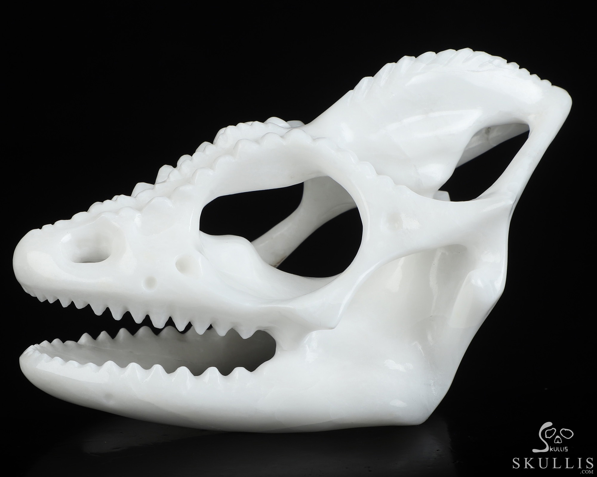 5.4" White Jade Hand Carved Tyrannosaurus/Dinosaur Crystal Skull Sculpture, Crystal Healing 5.4" White Jade Hand Carved Tyrannosaurus/Dinosaur Crystal Skull Sculpture, Crystal Healing