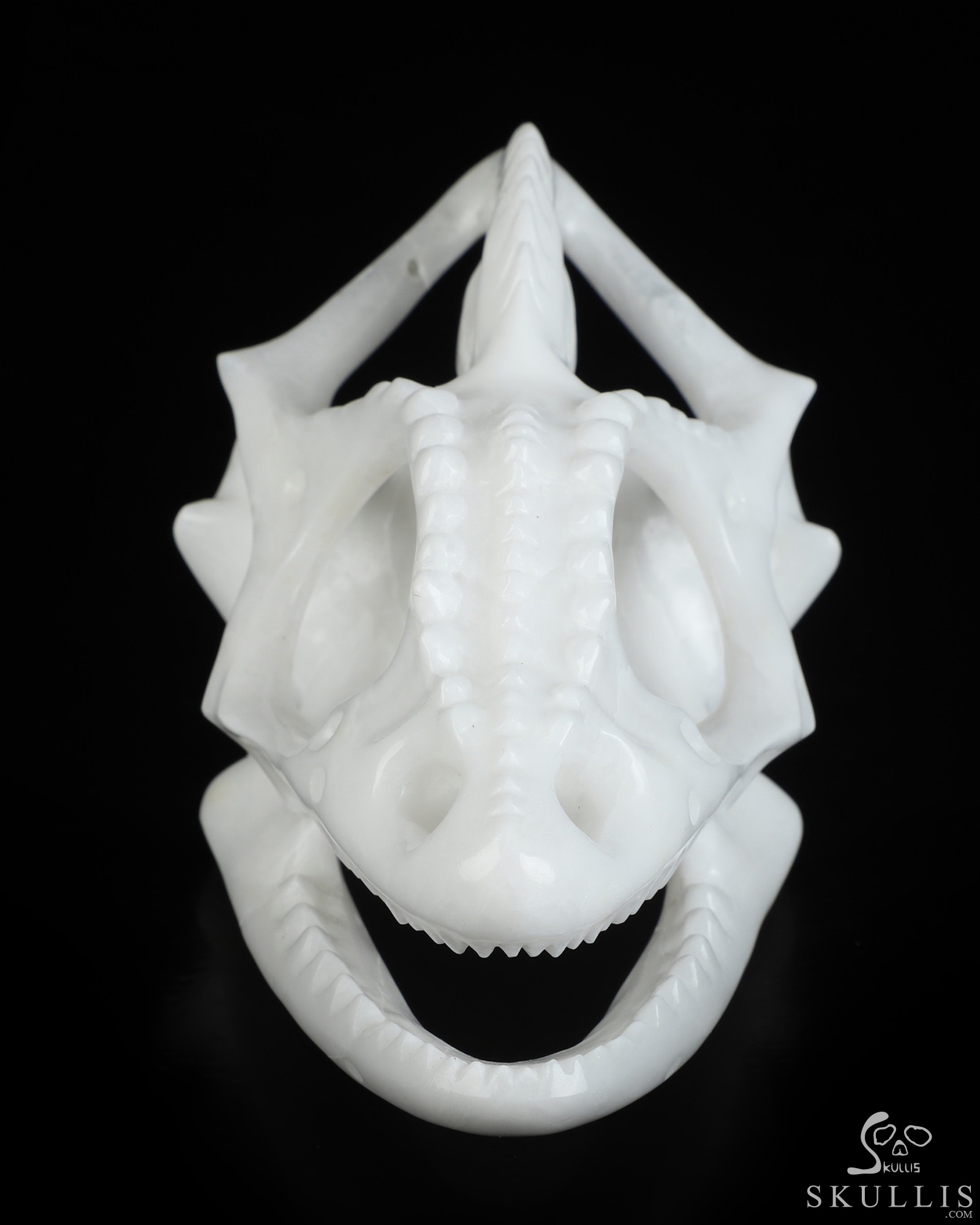 5.4" White Jade Hand Carved Tyrannosaurus/Dinosaur Crystal Skull Sculpture, Crystal Healing 5.4" White Jade Hand Carved Tyrannosaurus/Dinosaur Crystal Skull Sculpture, Crystal Healing